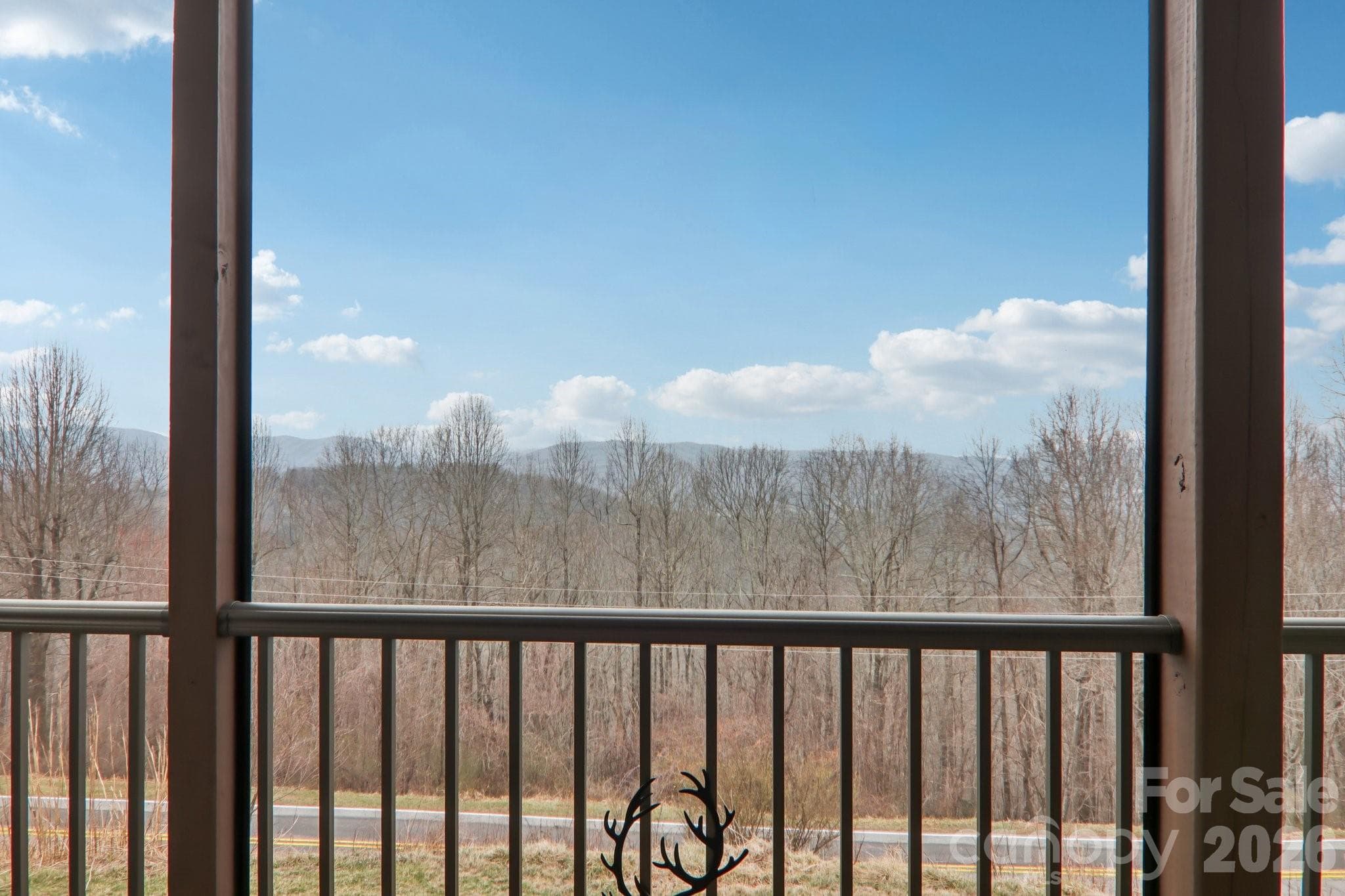 Long range views from screened in porch - Hendersonville