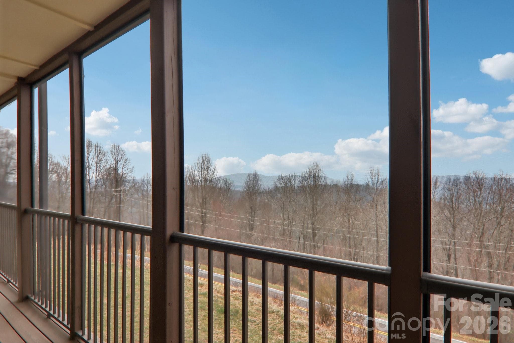 Long range views from screened in porch - Hendersonville