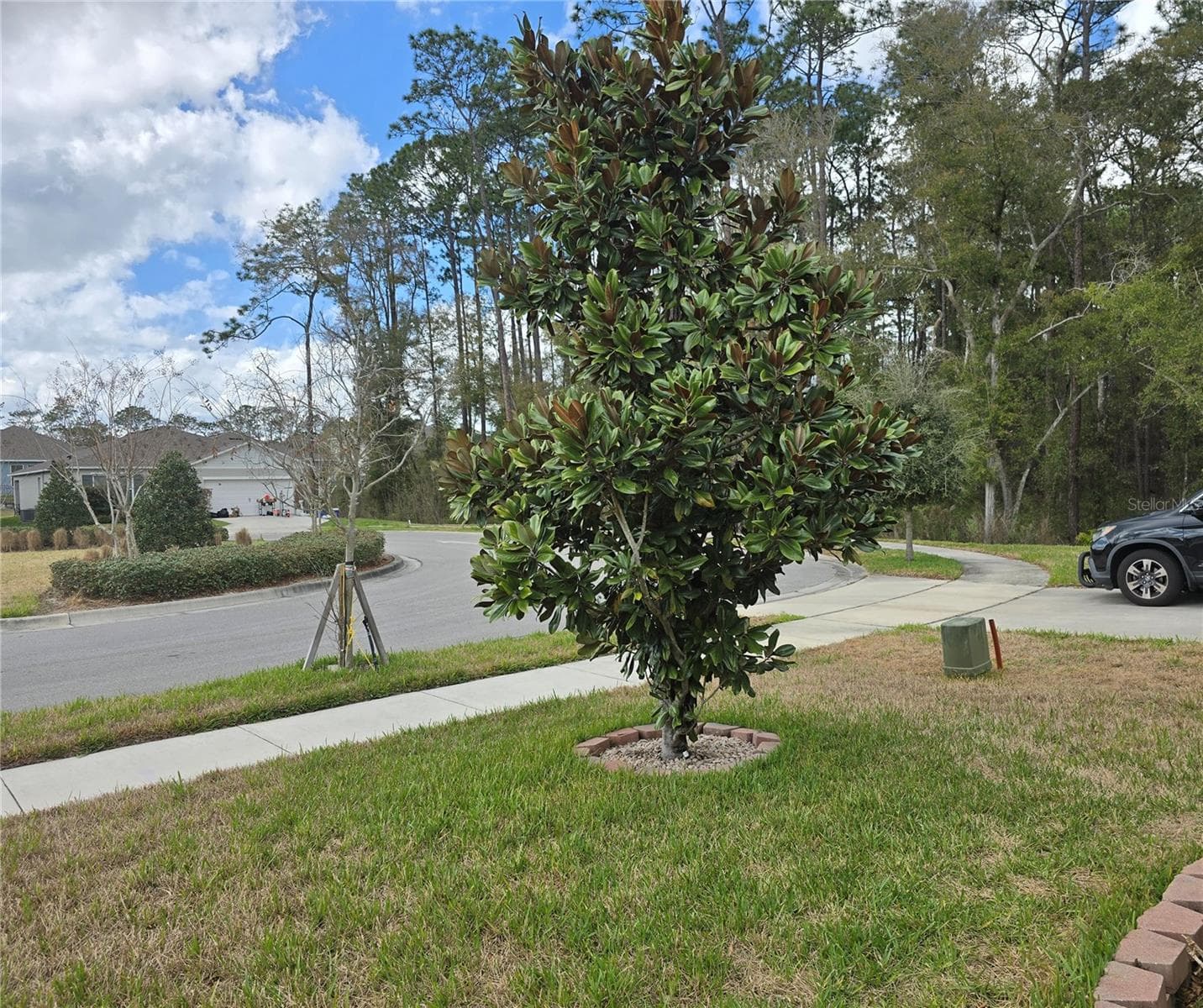 Single Family Residence at 532 EMILY GLEN ST, DELAND, photo 7 of 50
