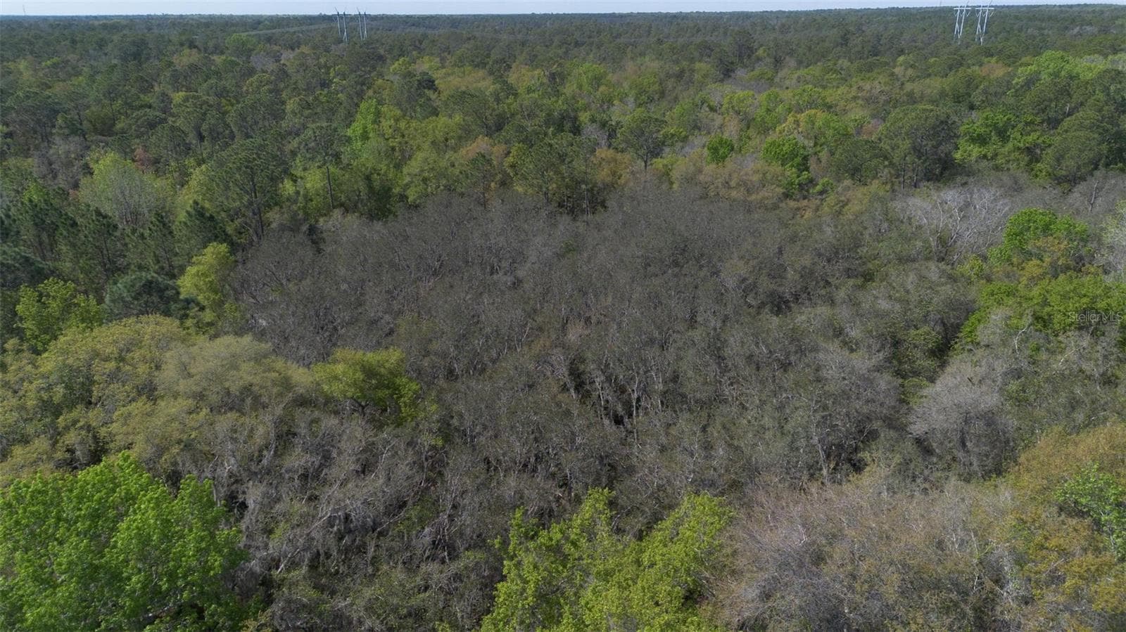 Land at JUNGLE RD, GENEVA, photo 21 of 21
