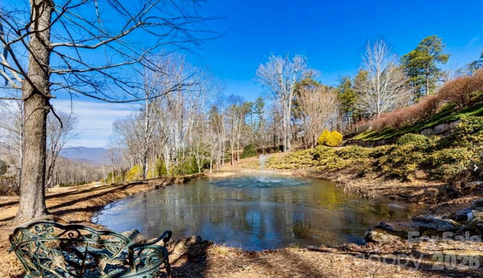 Relaxing Pond - Black Mountain