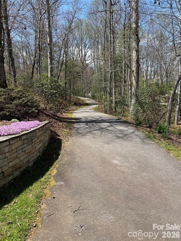 Walking Path - L 19 Cadence Circle, Brevard
