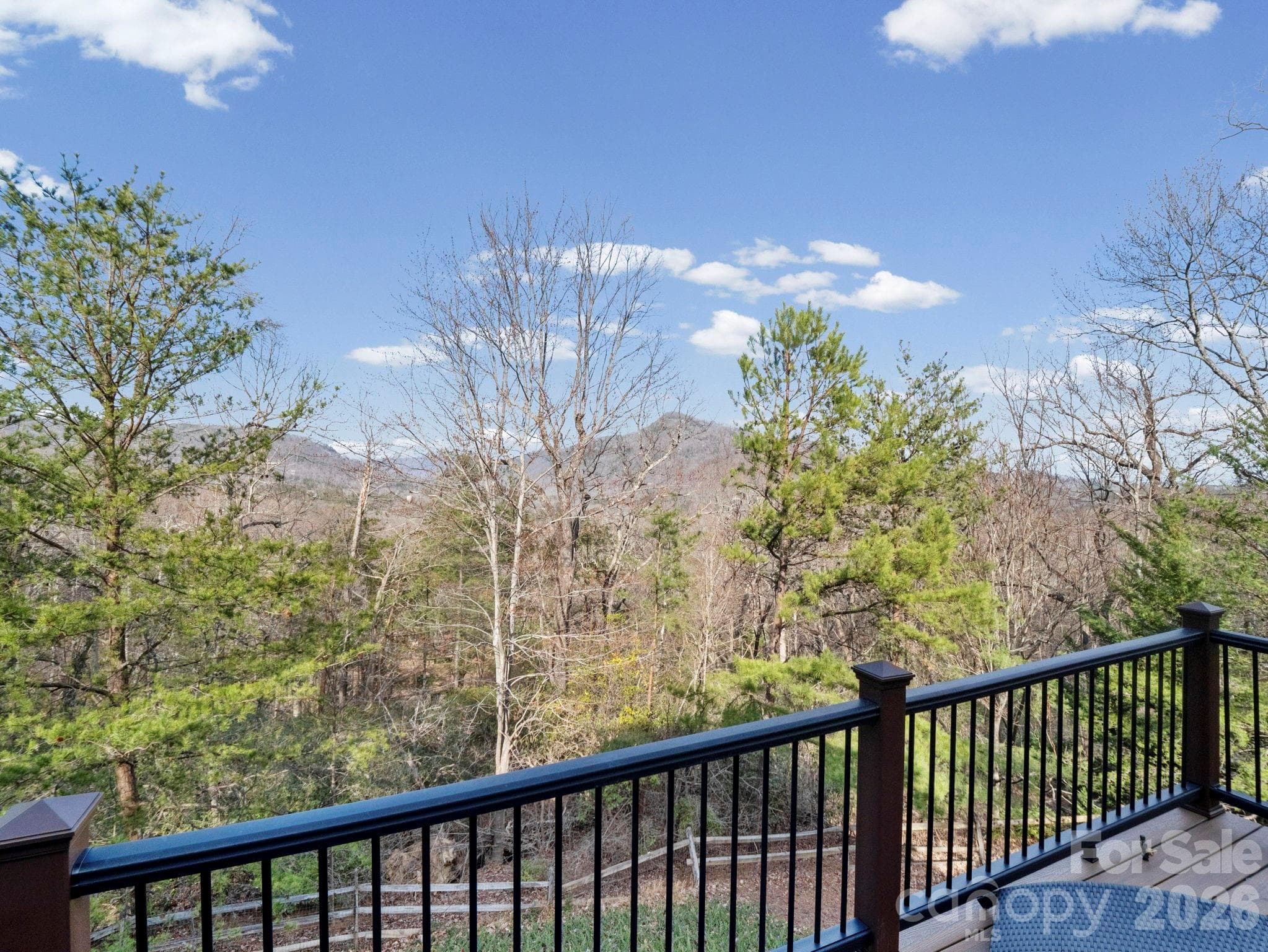 Overlooks fenced-in backyard - 308 Bluebird Road, Lake Lure