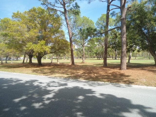 golf course view - 2800 COVE CAY DR #4D, CLEARWATER