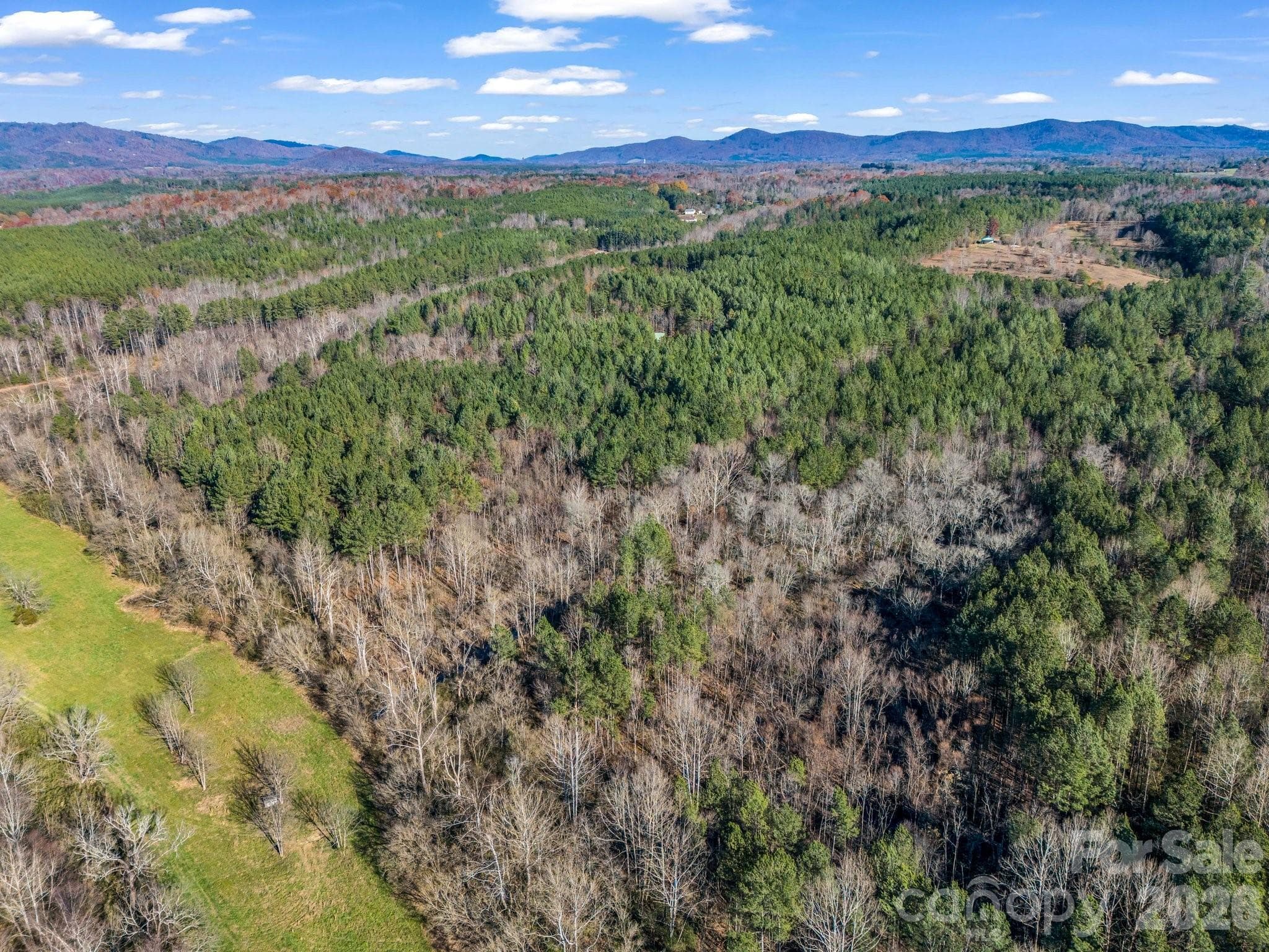 Lot at 0 Farmer Johns Trail, Rutherfordton, photo 5 of 28