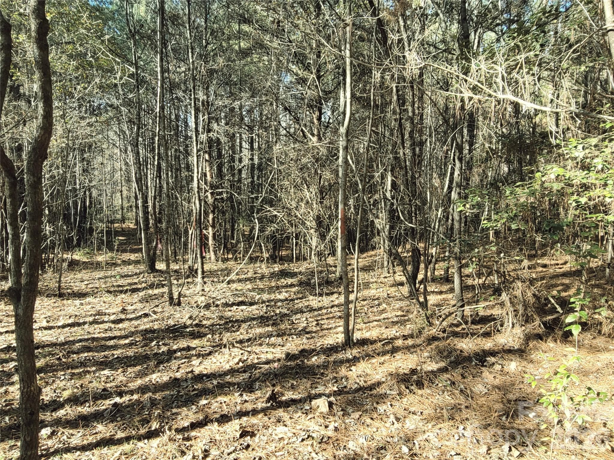 Lot at 0 Farmer Johns Trail, Rutherfordton, photo 26 of 28