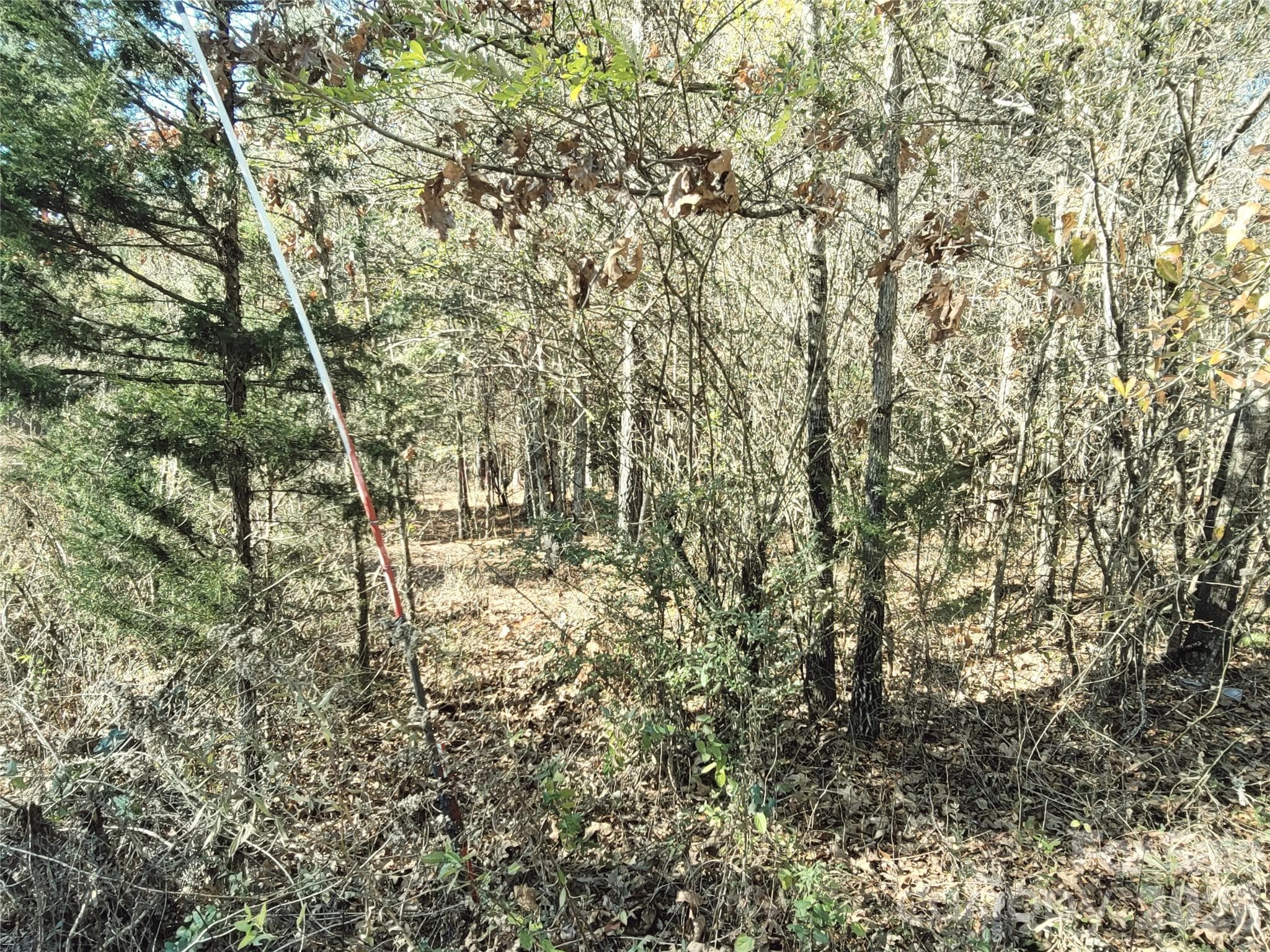 Lot at 0 Farmer Johns Trail, Rutherfordton, photo 25 of 28