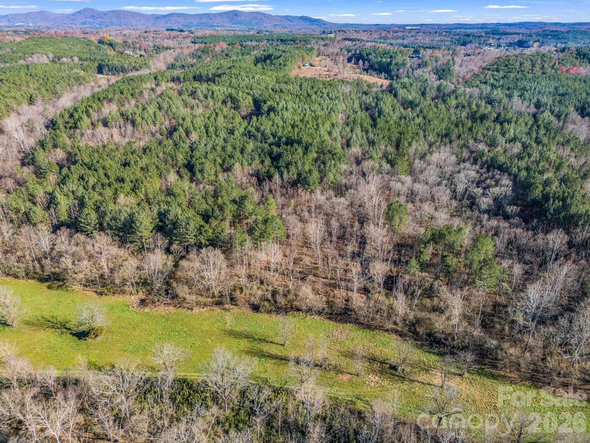 back side of neighboring property is cleared fields, keep the trees as buffer or open up for amazing sunsets, potentially!!!! - 0 Farmer Johns Trail, Rutherfordton