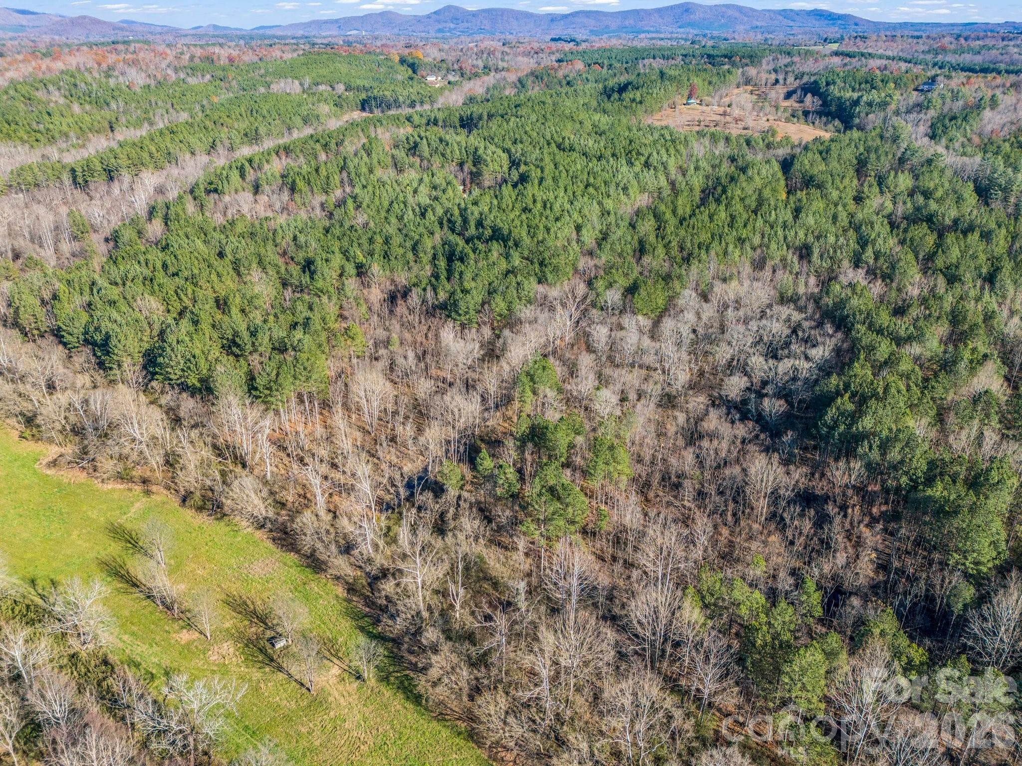 back side of neighboring property is cleared fields, keep the trees as buffer or open up for amazing sunsets, potentially!!!! - 0 Farmer Johns Trail, Rutherfordton