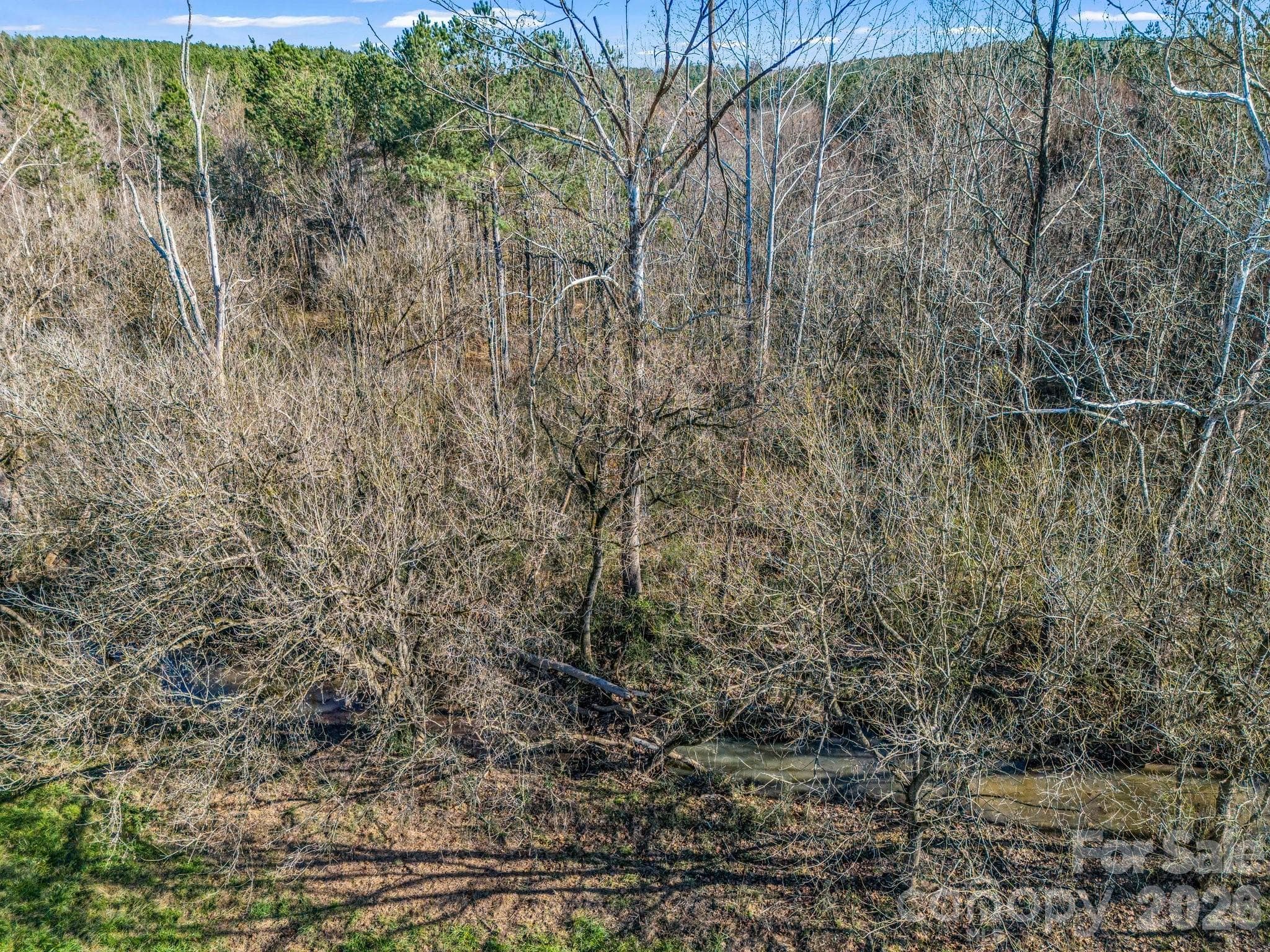 Lot at 0 Farmer Johns Trail, Rutherfordton, photo 27 of 28