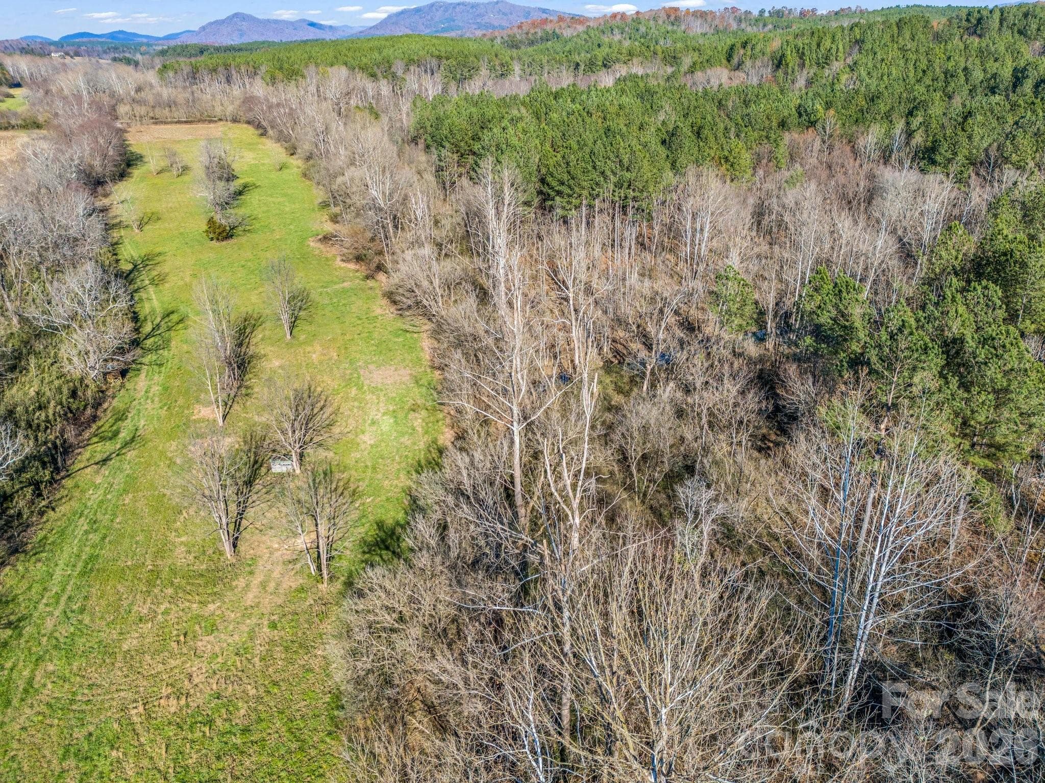 back side of neighboring property is cleared fields, keep the trees as buffer or open up for amazing sunsets, potentially!!!! - 0 Farmer Johns Trail, Rutherfordton