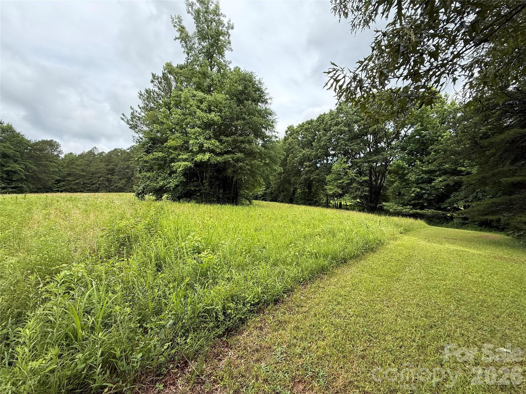 Acreage at 2430 Grubb Ferry Road, Salisbury, photo 2 of 21