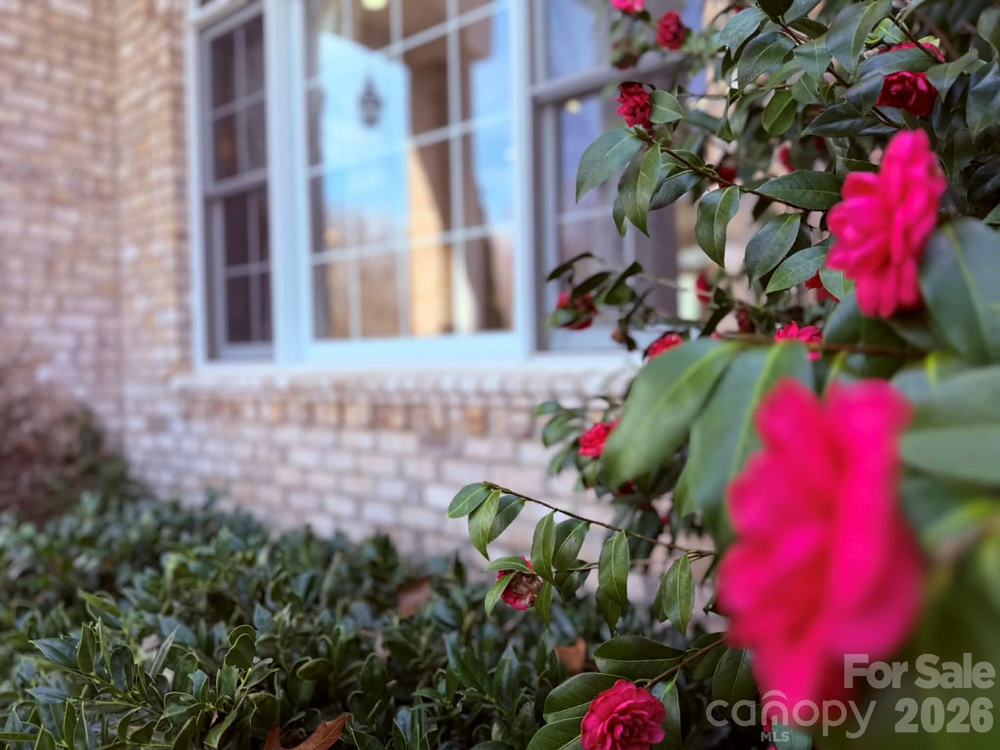 Single Family Residence at Lenoir, photo 9 of 48