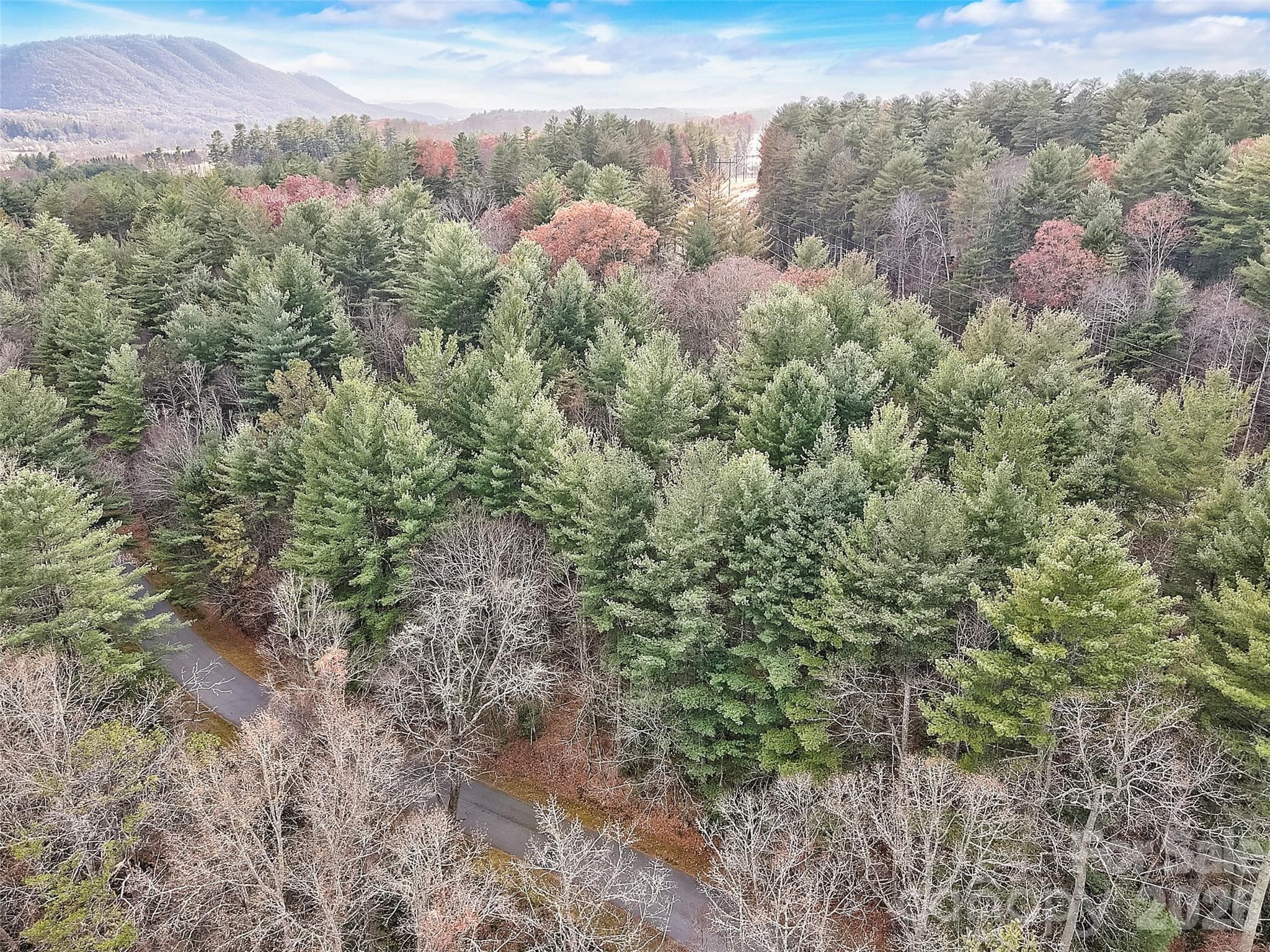 Established neighborhood lot - Fletcher