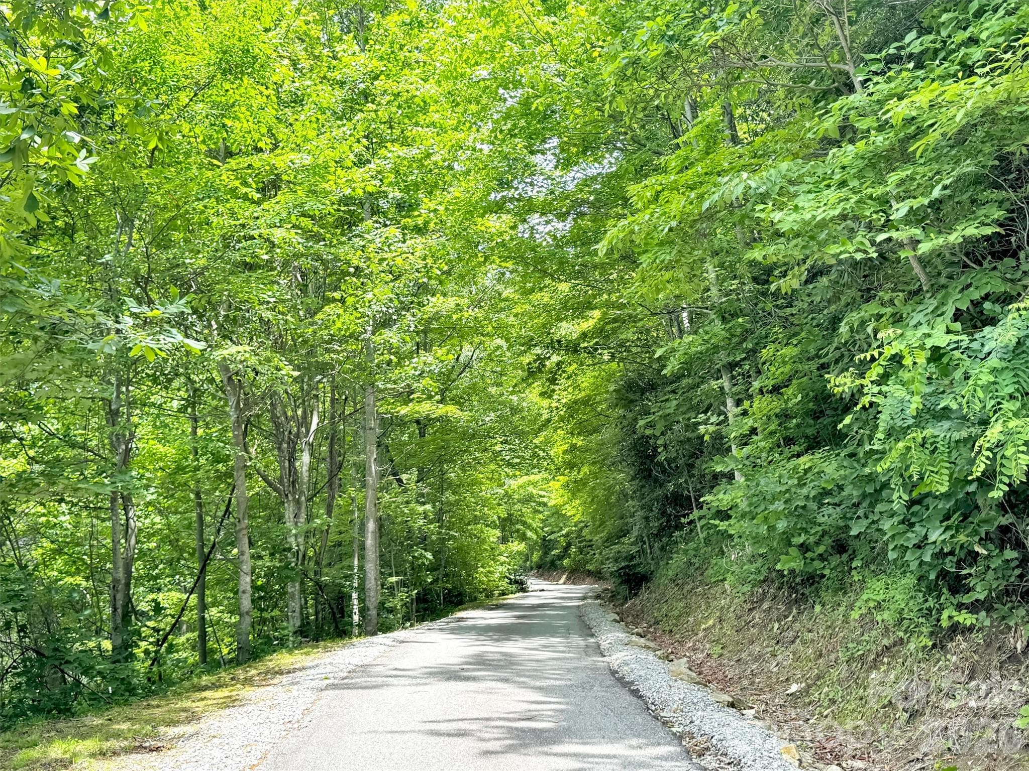 Beautiful Driveway to House - 28 Mountain Breeze Drive, Maggie Valley