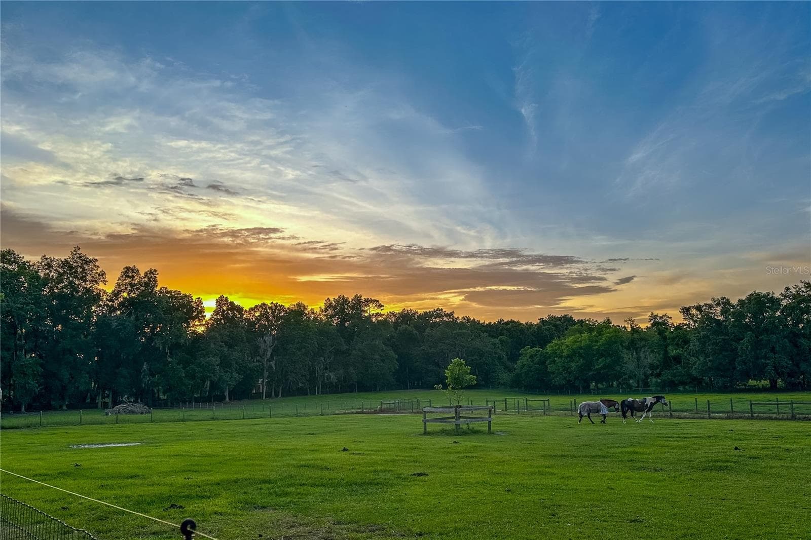 Farm at 16242 NW 130TH ST, WILLISTON, photo 17 of 74