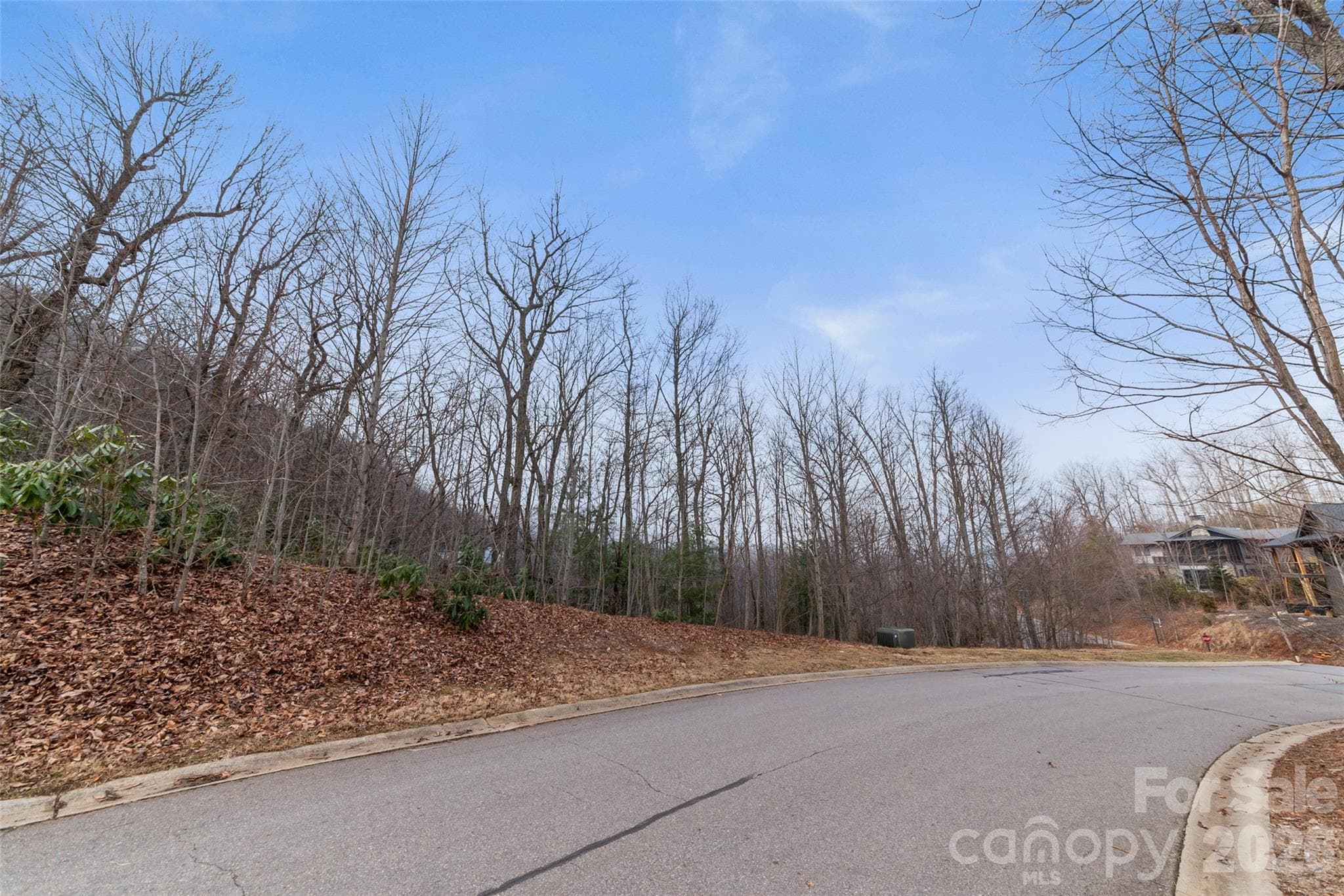 Lot at Black Mountain, photo 6 of 20