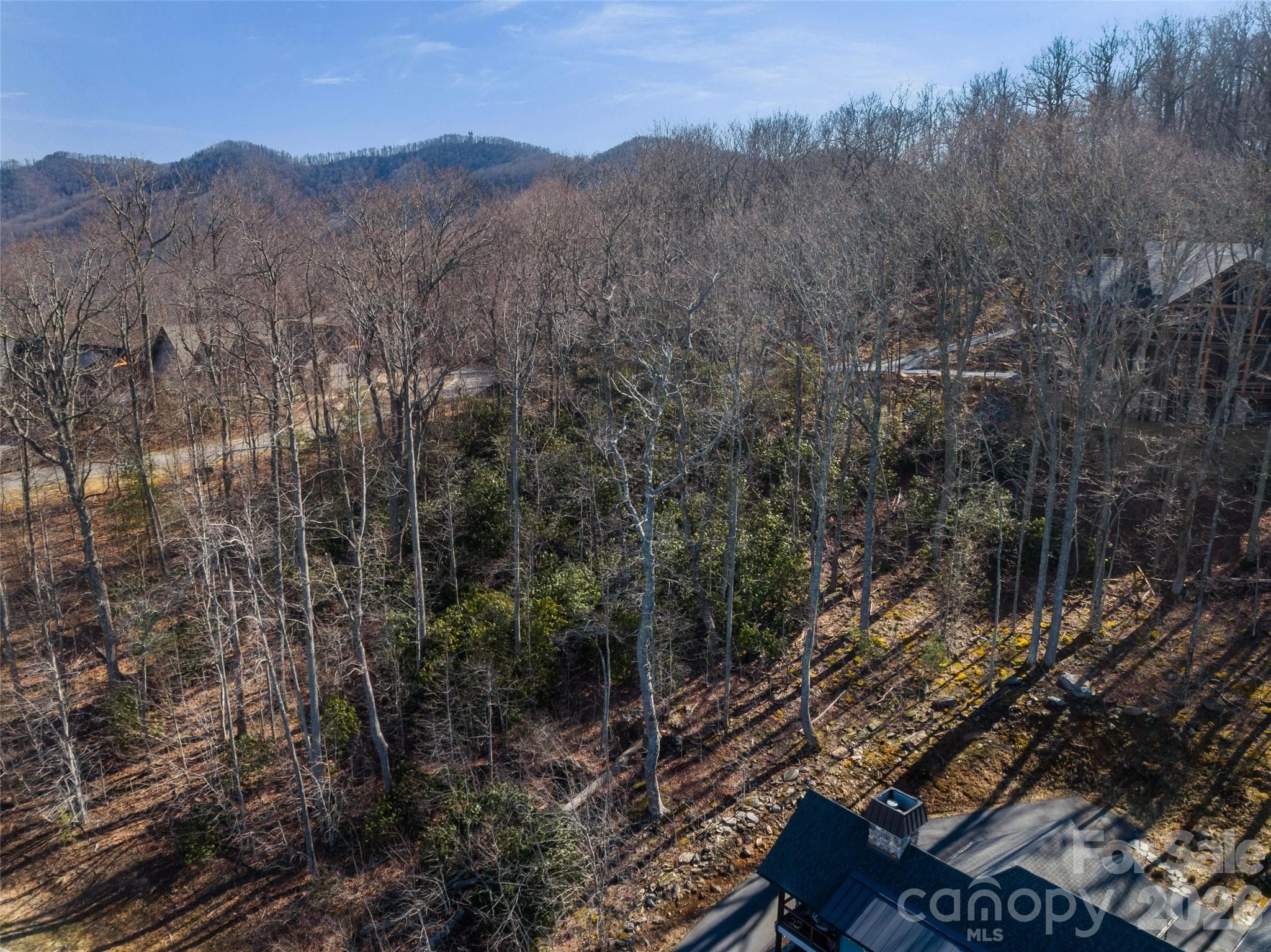 Lot at Black Mountain, photo 19 of 20