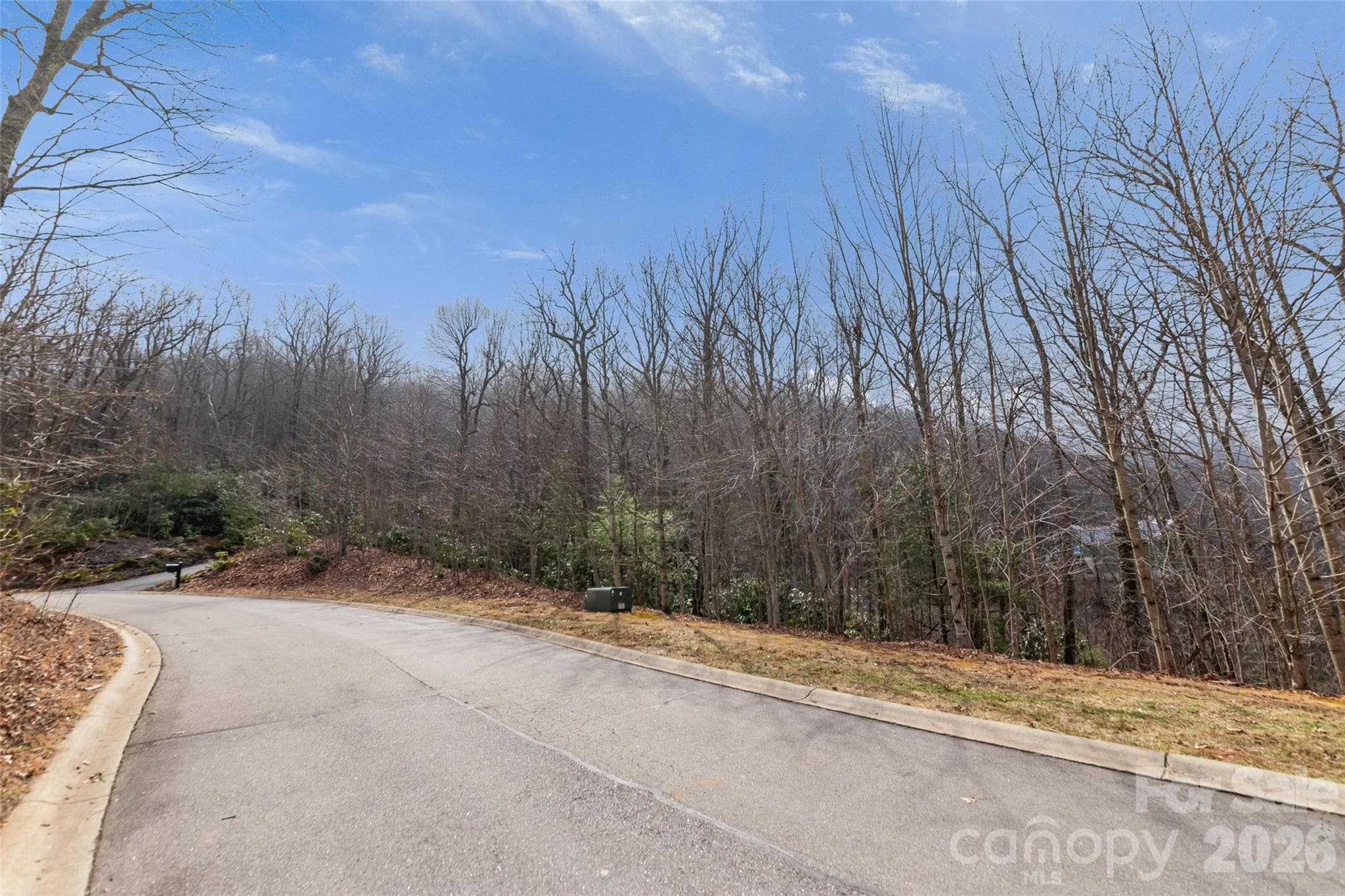 Lot at Black Mountain, photo 20 of 20