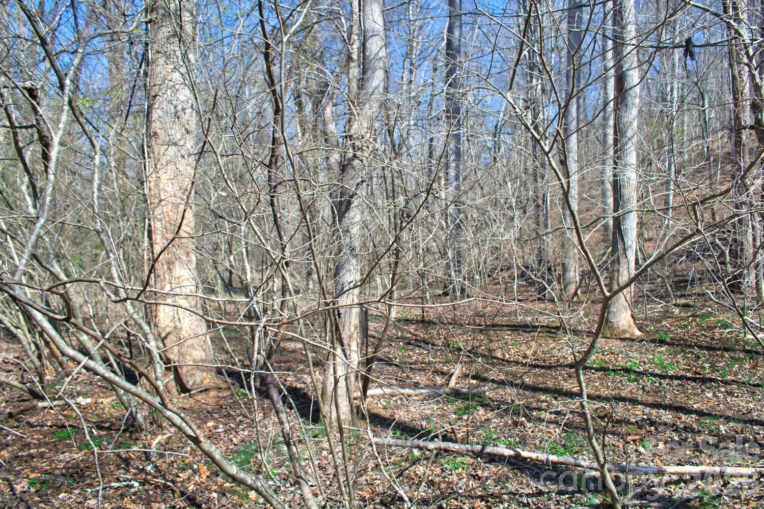 Lot at Rutherfordton, photo 3 of 5
