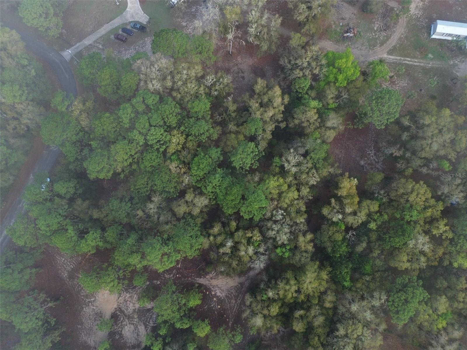 Land at 5512 W CONNETQUOT PL, DUNNELLON, photo 2 of 4