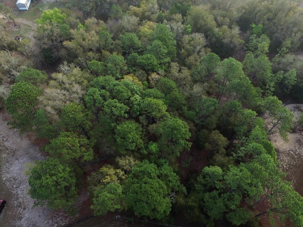Land at 5512 W CONNETQUOT PL, DUNNELLON, photo 4 of 4