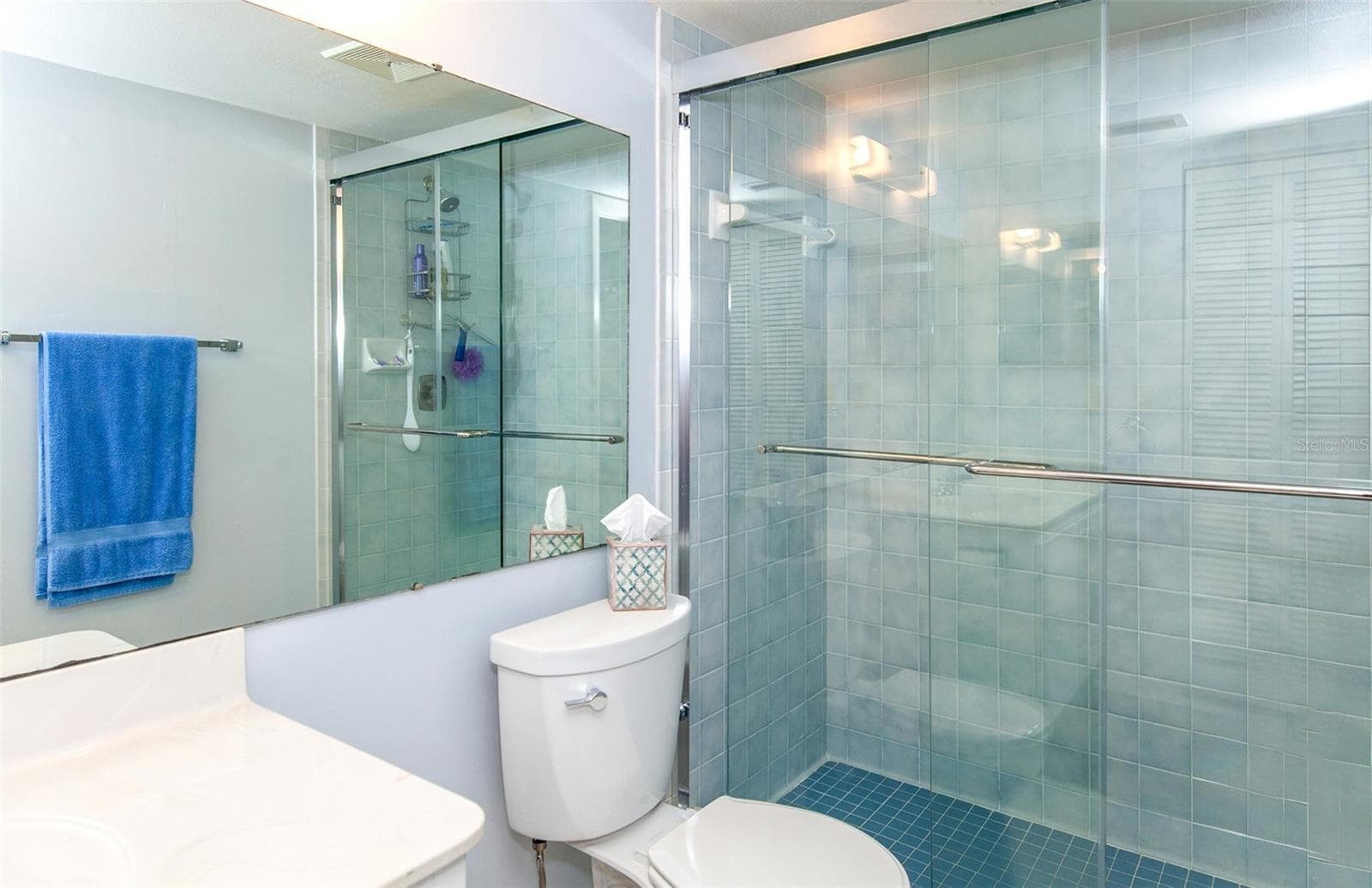 Master Bath - 862 BIRD BAY WAY #194, VENICE