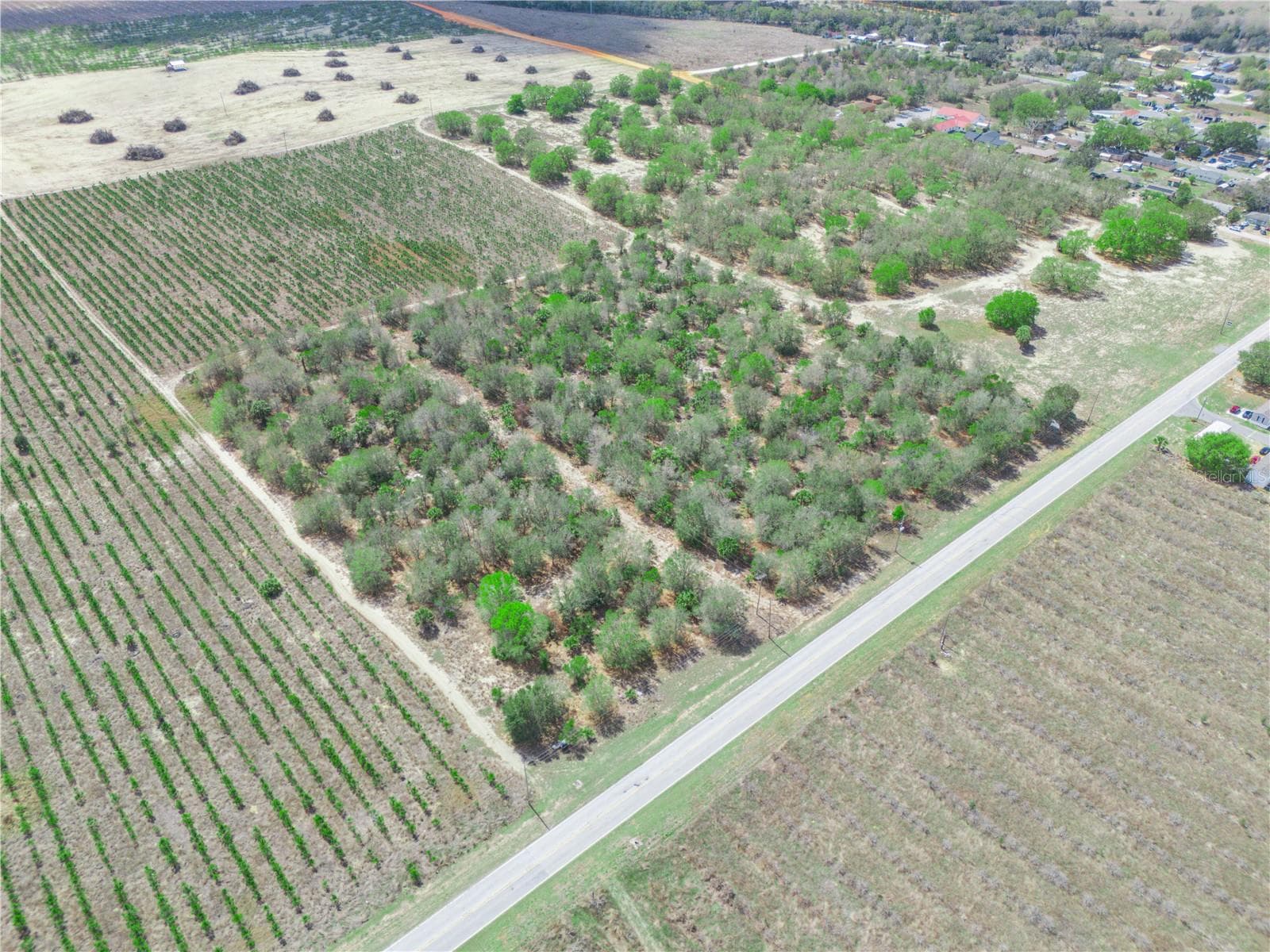 Land at FRIEDLANDER RD, BABSON PARK, photo 11 of 17