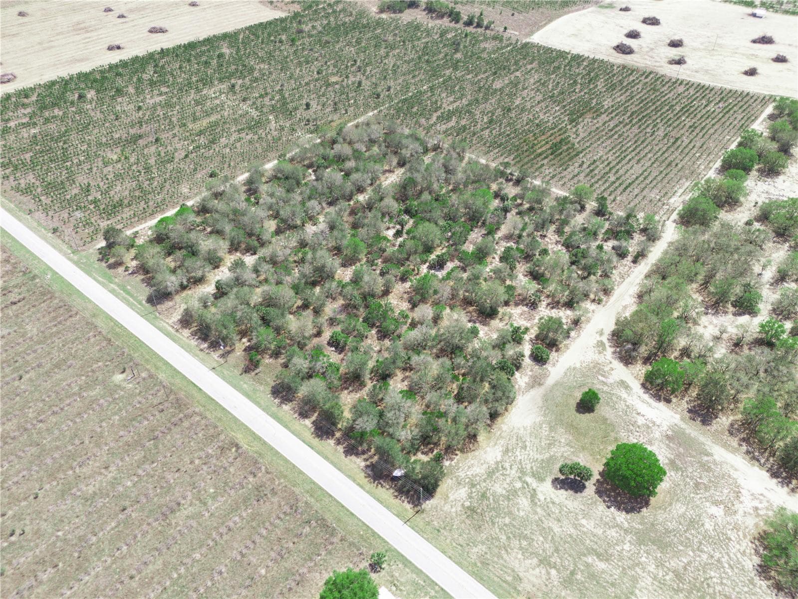 Land at FRIEDLANDER RD, BABSON PARK, photo 14 of 17