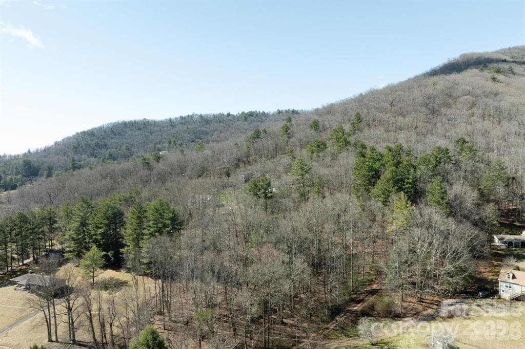 Lot at Asheville, photo 2 of 8