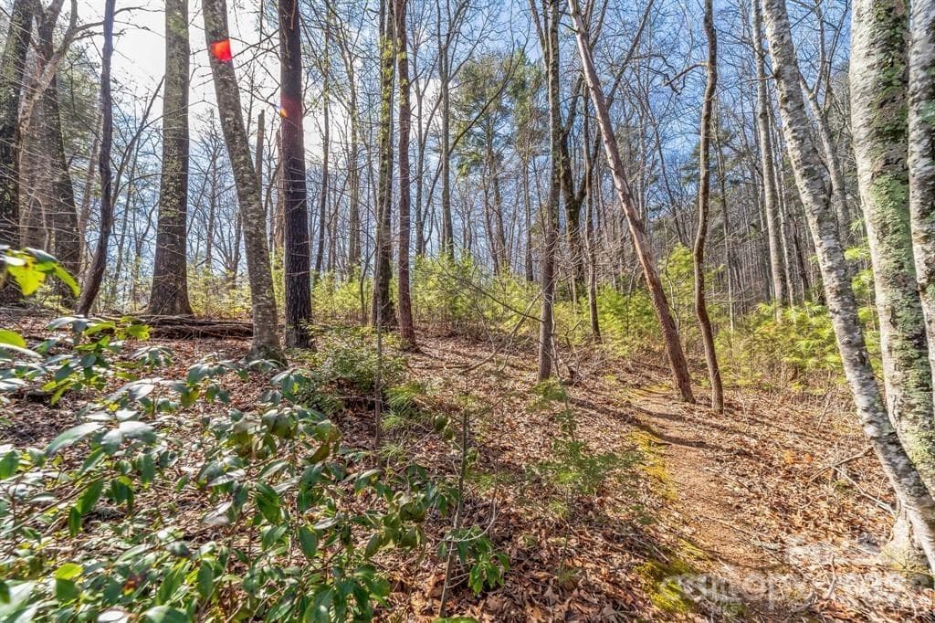 Lot at Asheville, photo 6 of 8