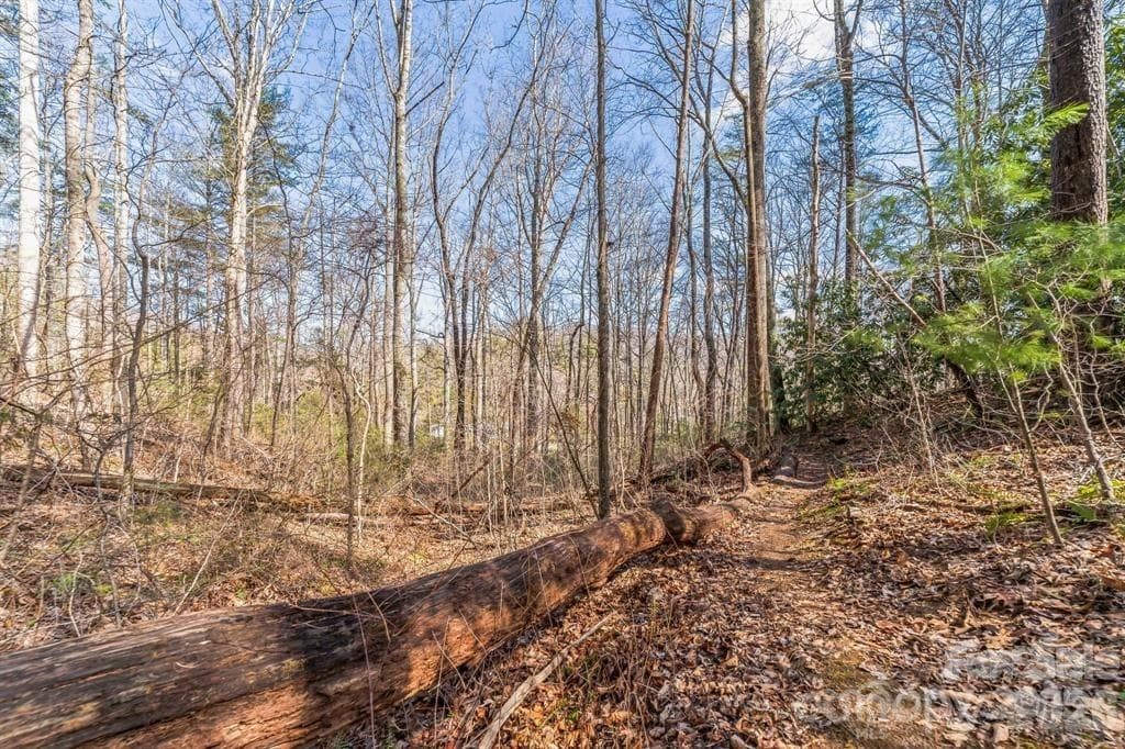 Lot at Asheville, photo 7 of 8