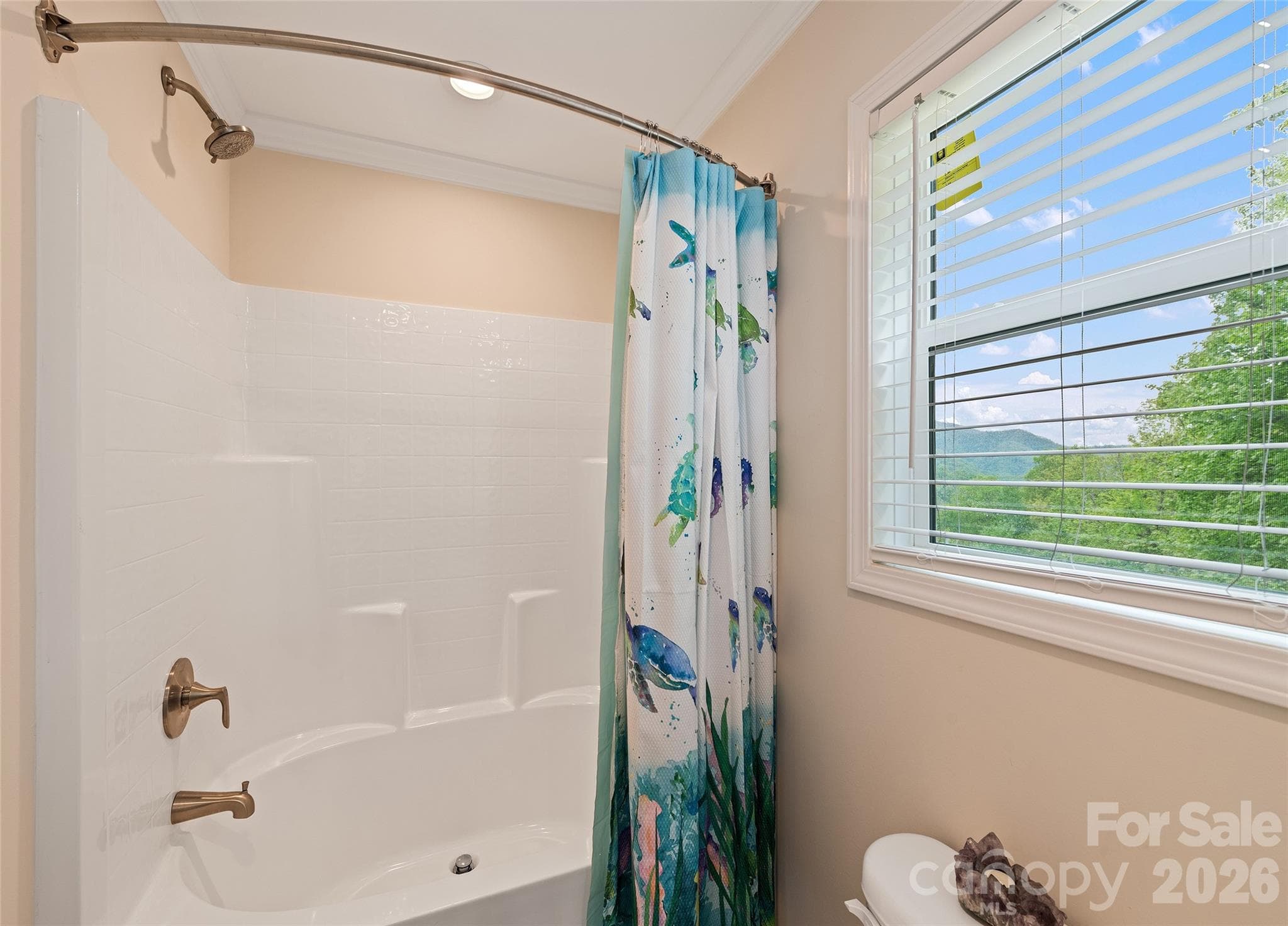 Single Family Residence at Maggie Valley, photo 24 of 31