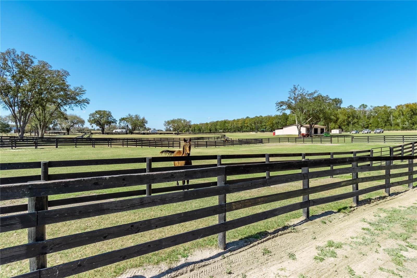 Farm at 4700 NW 157TH CT, MORRISTON, photo 89 of 96