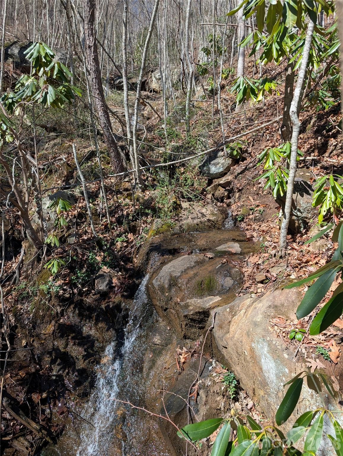Acreage at 00 Bear Wallow Trail, Canton, photo 2 of 17