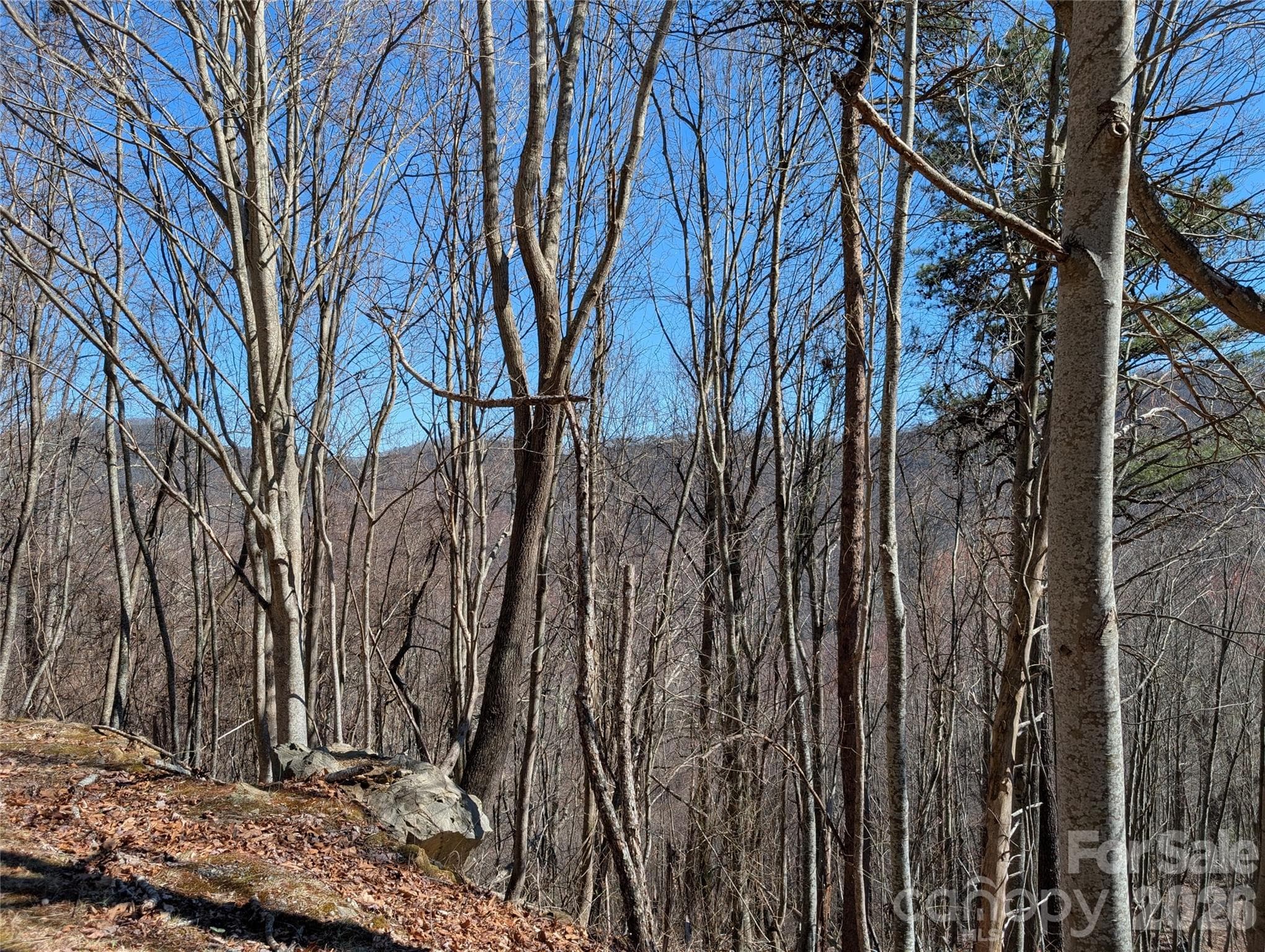 Acreage at 00 Bear Wallow Trail, Canton, photo 14 of 17