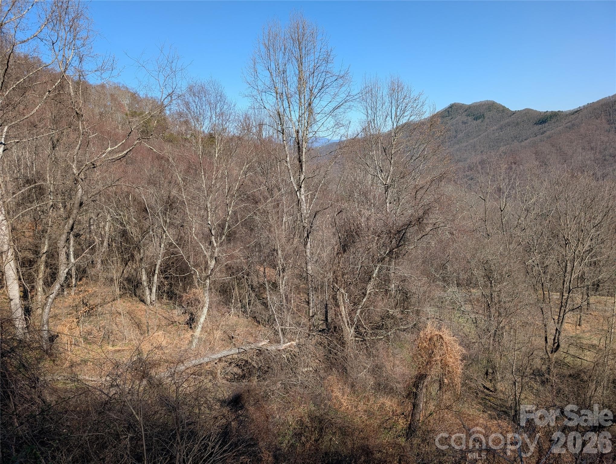 Acreage at 00 Bear Wallow Trail, Canton, photo 16 of 17
