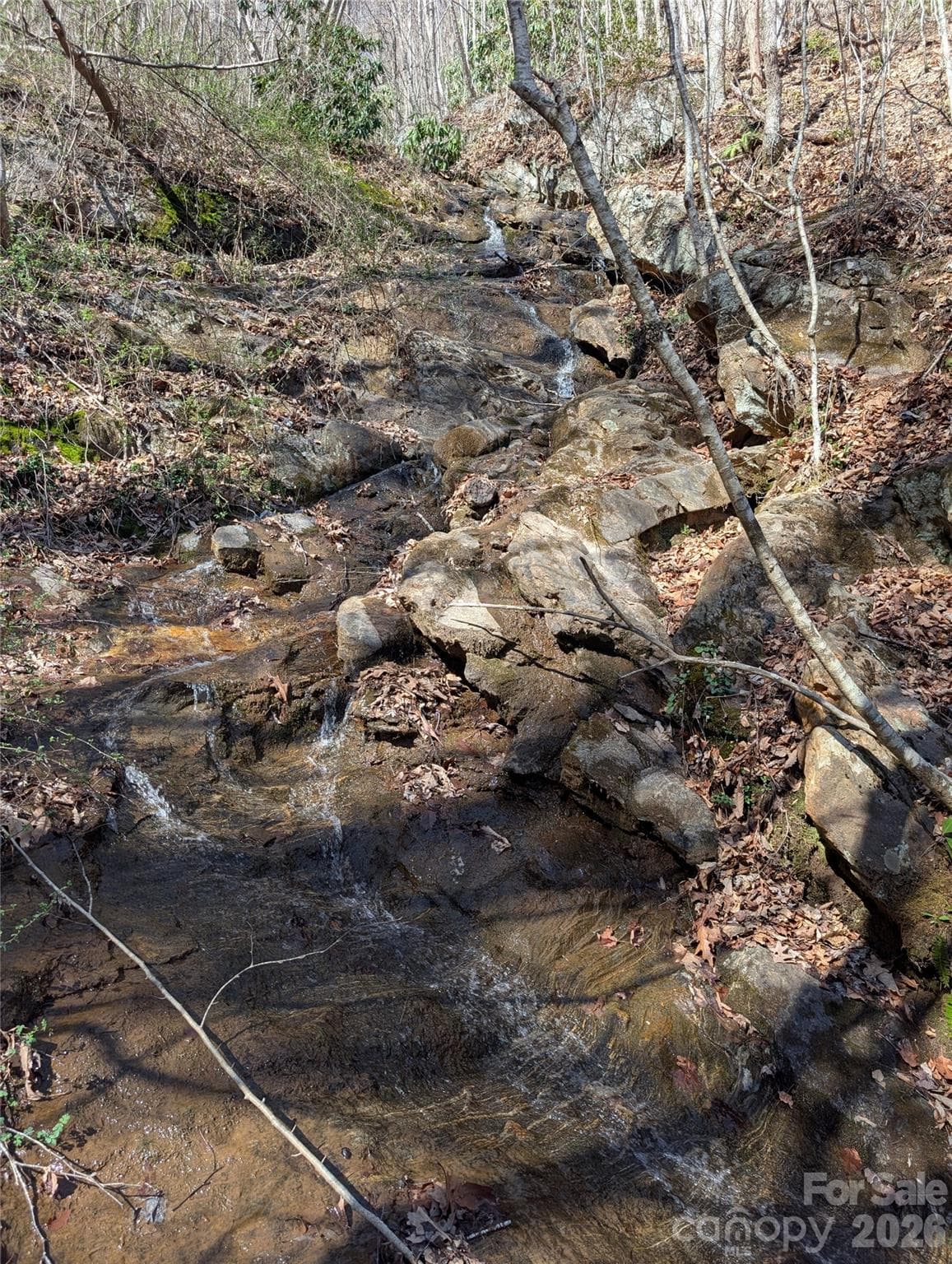 Acreage at 00 Bear Wallow Trail, Canton, photo 17 of 17