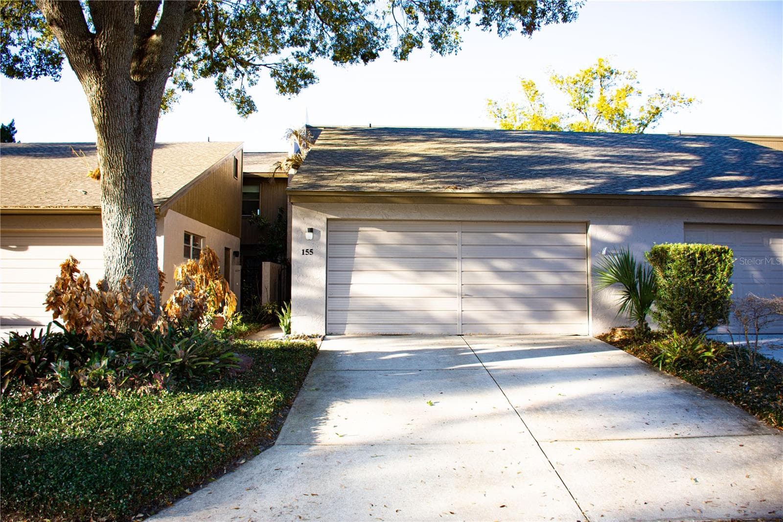 155 FALLWOOD ST