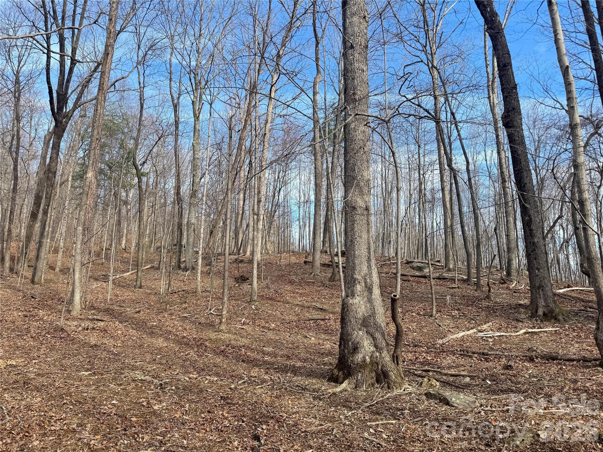 Lot at Mill Spring, photo 2 of 14