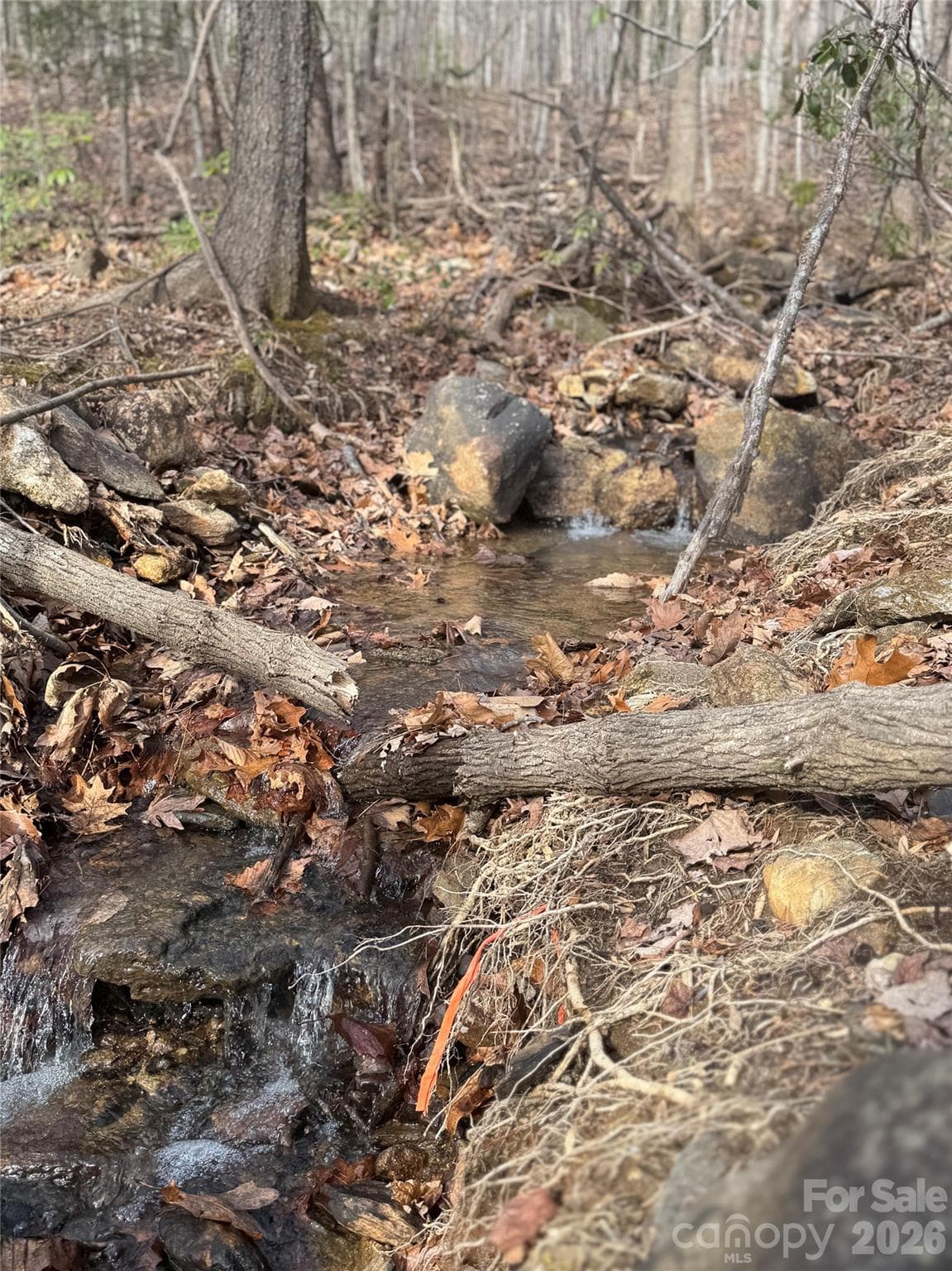 Lot at Mill Spring, photo 3 of 14