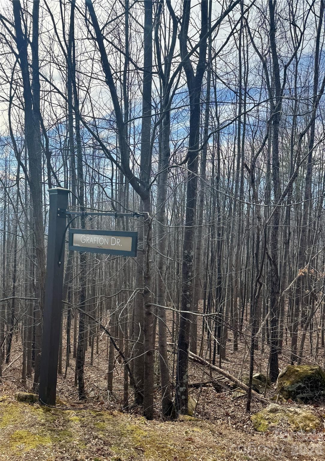 Lot at Mill Spring, photo 8 of 14