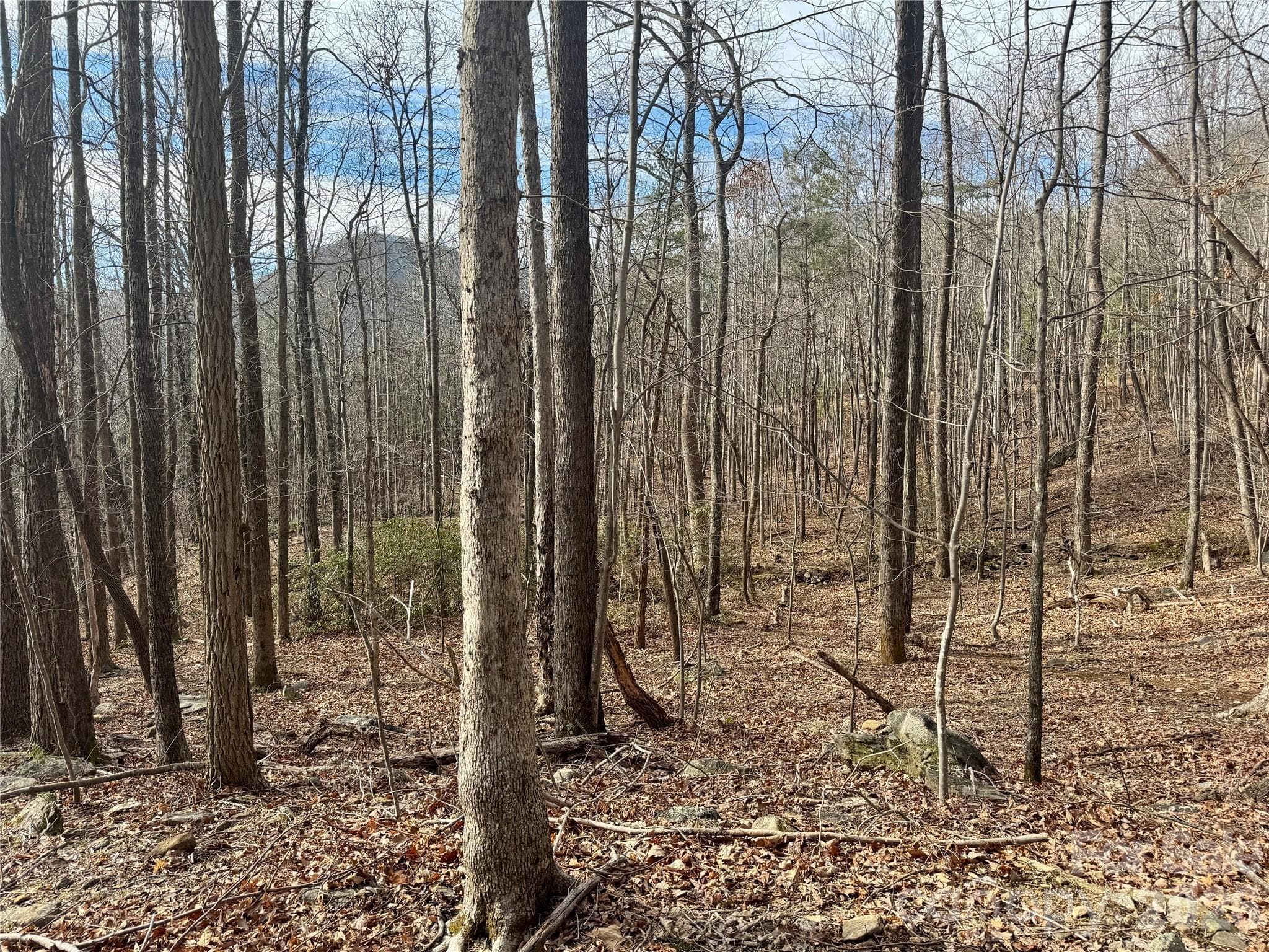 Lot at Mill Spring, photo 9 of 14