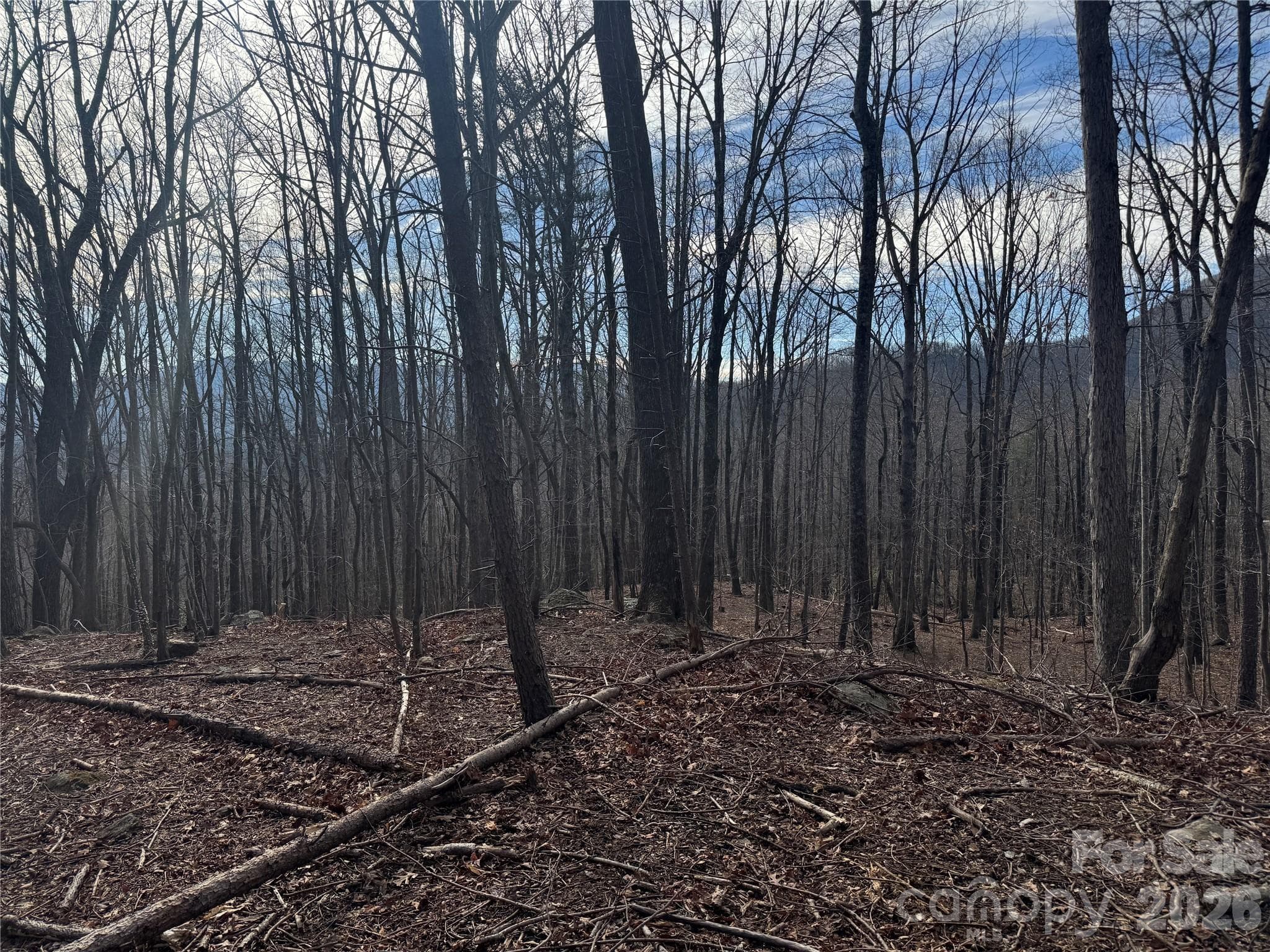 Lot at Mill Spring, photo 10 of 14