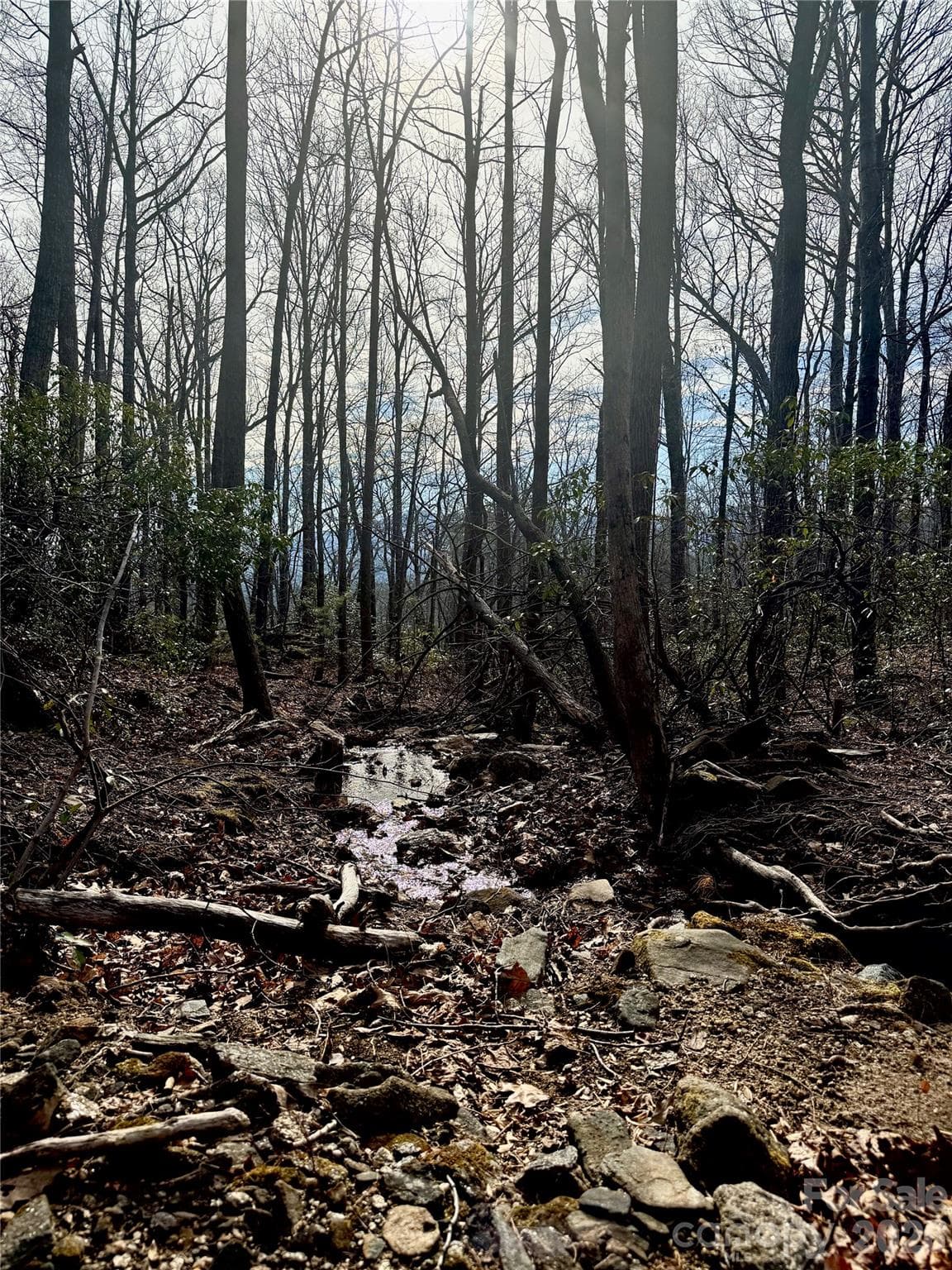 Creek bordering Property - Mill Spring