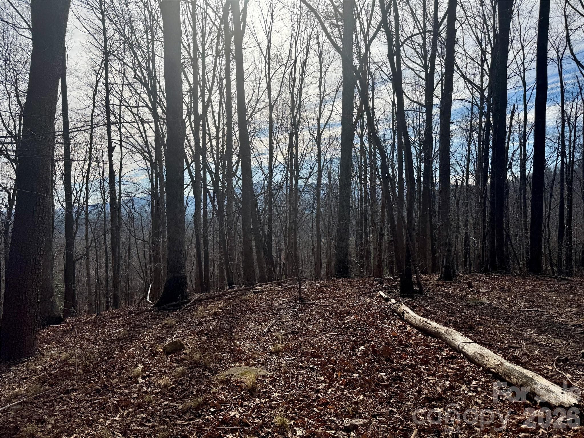 Lot at Mill Spring, photo 12 of 14