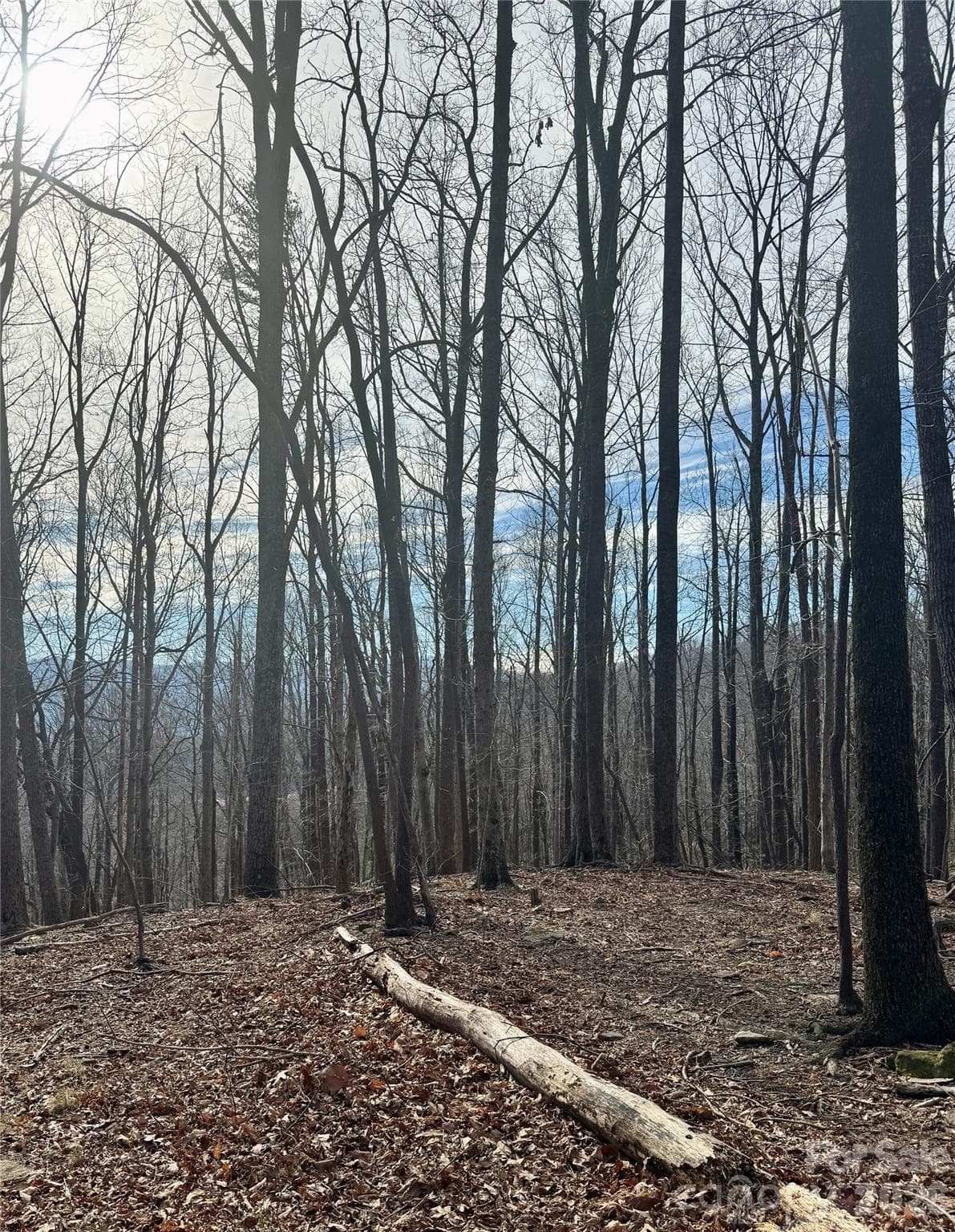 Lot at Mill Spring, photo 14 of 14