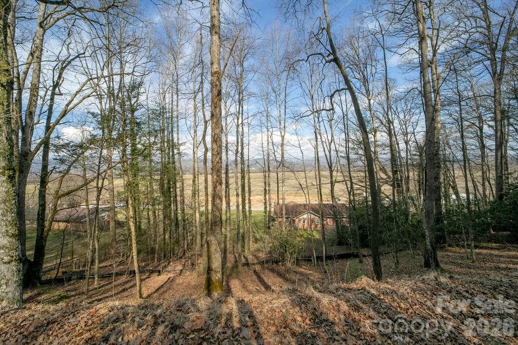 Lot at Pisgah Forest, photo 2 of 12