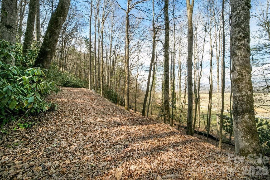 Lot at Pisgah Forest, photo 3 of 12
