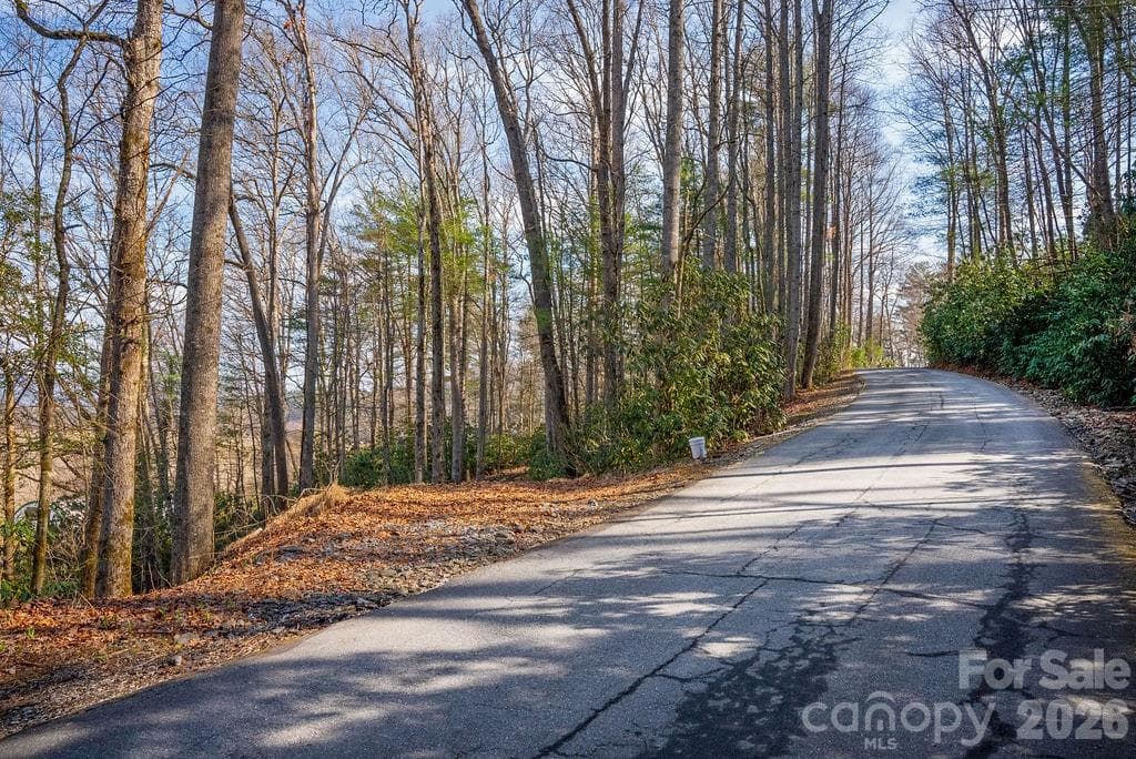 Lot at Pisgah Forest, photo 4 of 12